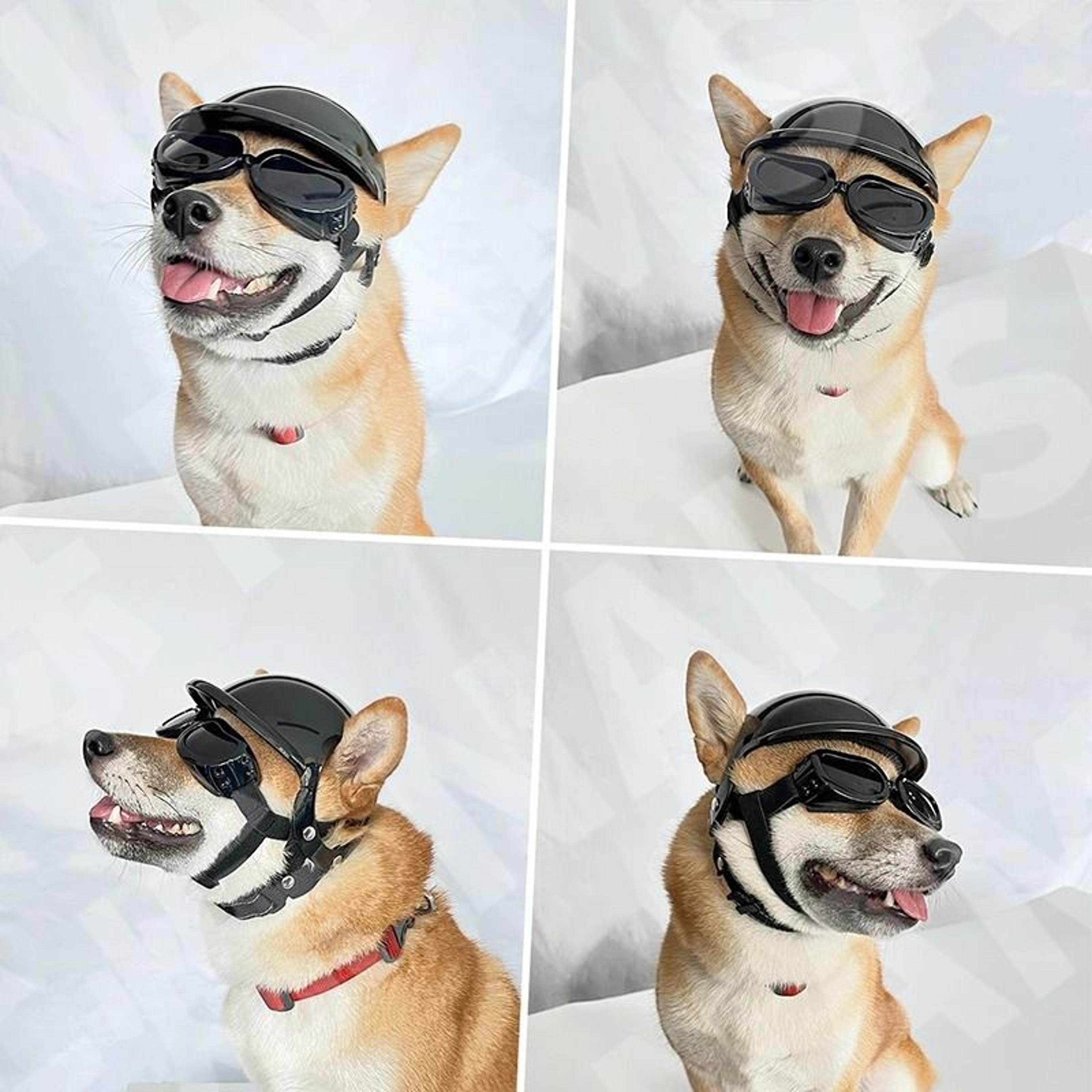Sport Dog Helmet  Goggles Adventure Set 4