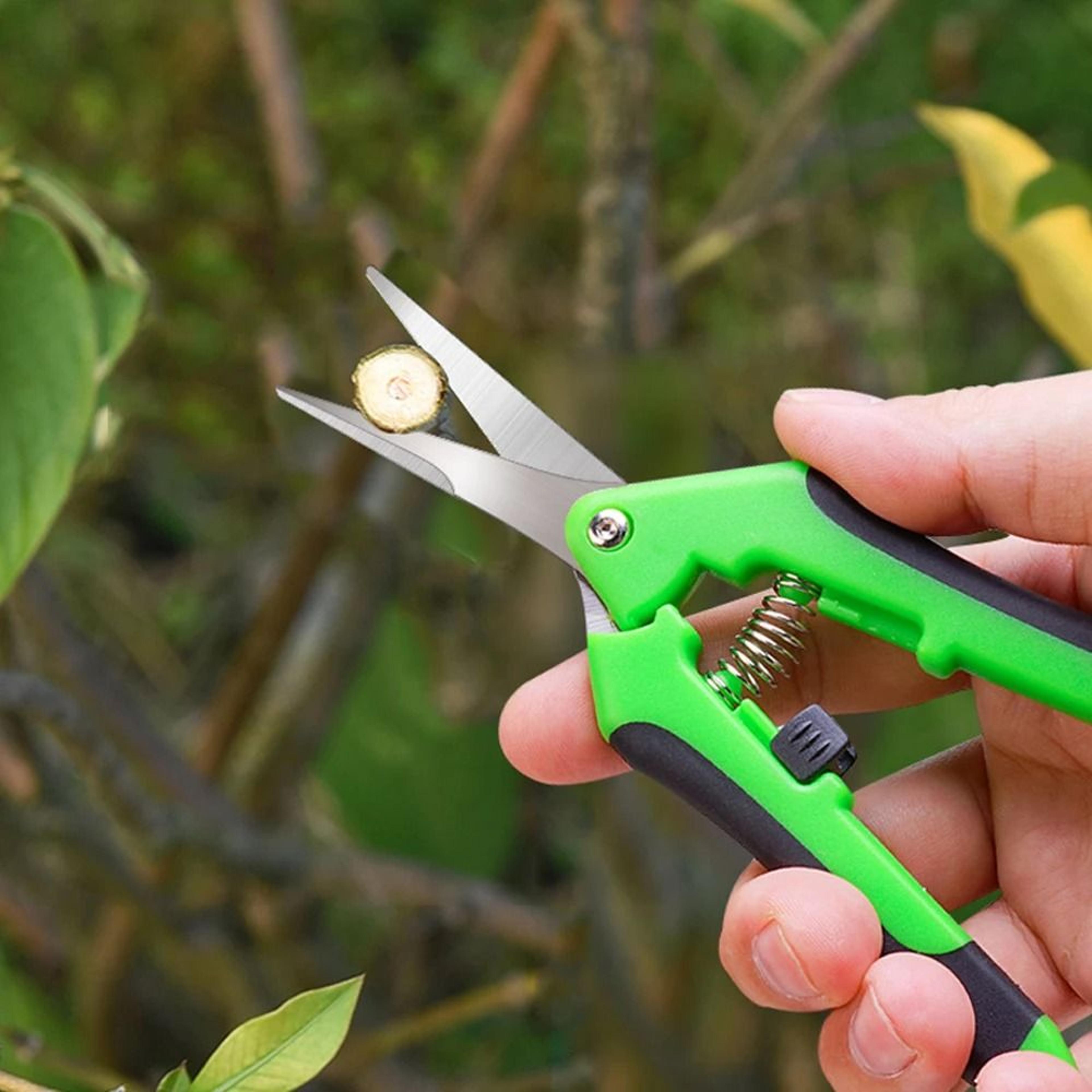 Garden Pruning Shears  Stainless Steel Precision Trimming Set 4