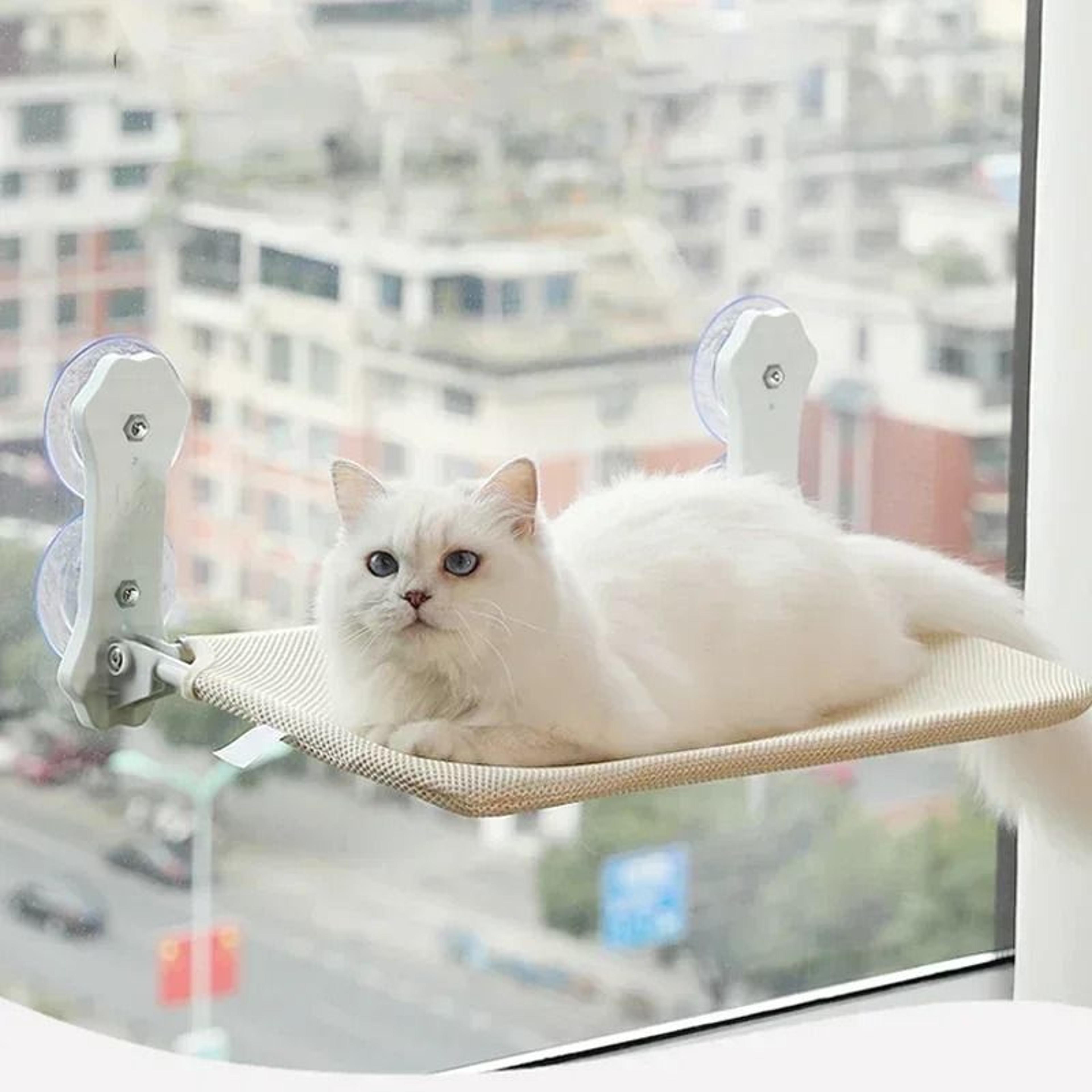 HighPerformance Suction Cup Cat Hammock 1