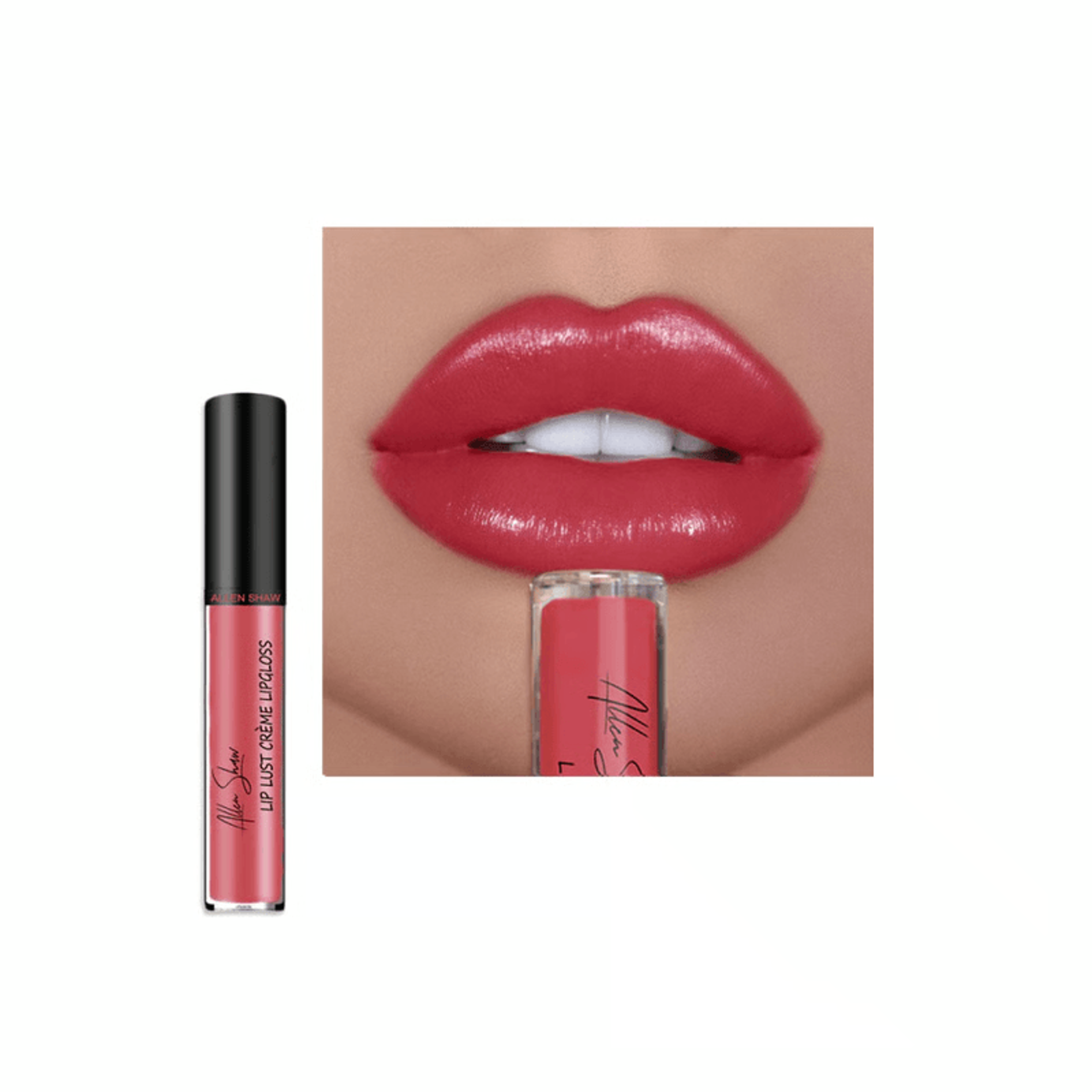 Waterproof Cream Lipstick Collection 12 Colors  Smooth Moisturizing  LongLasting 3