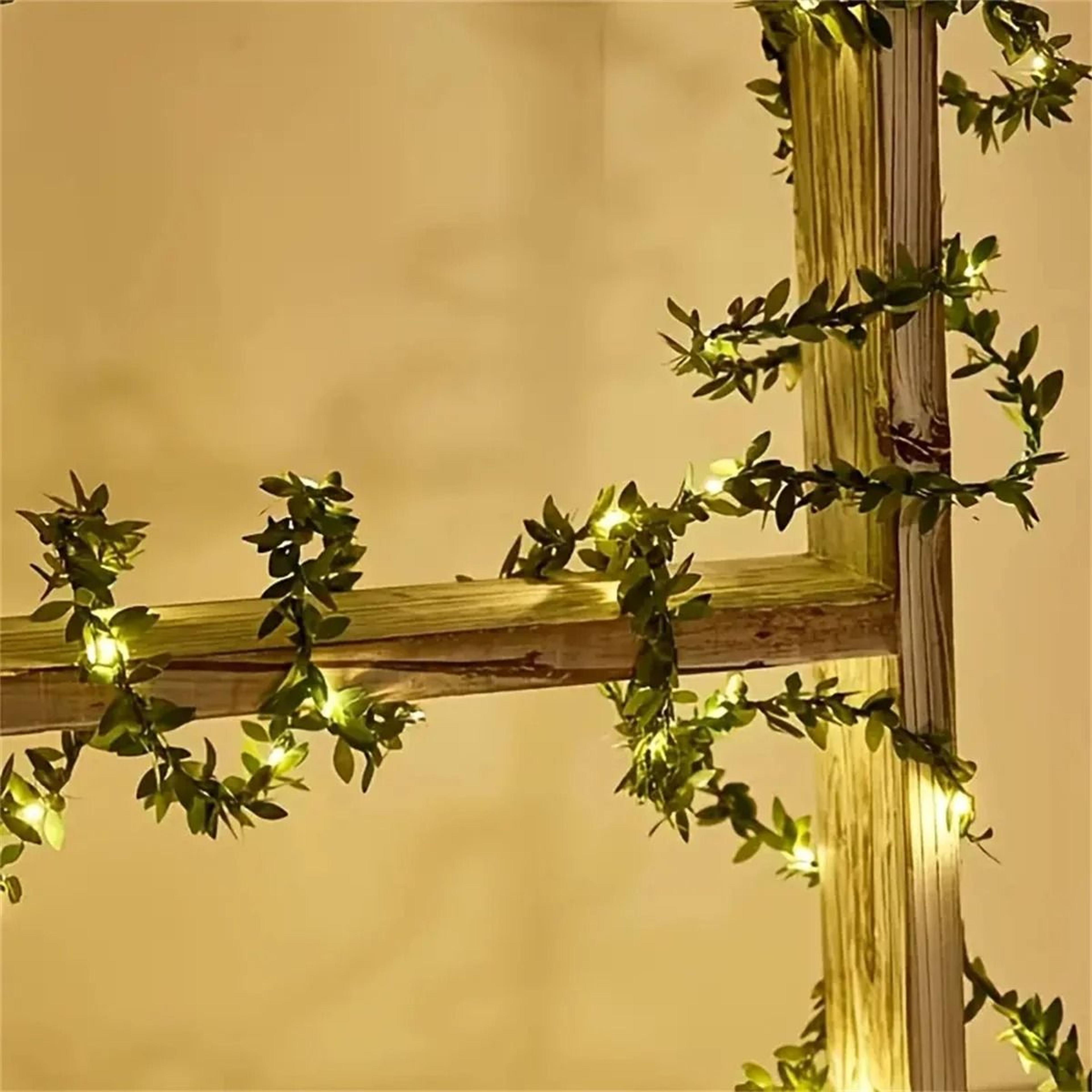 Botanical Willow Vine Fairy Lights 4