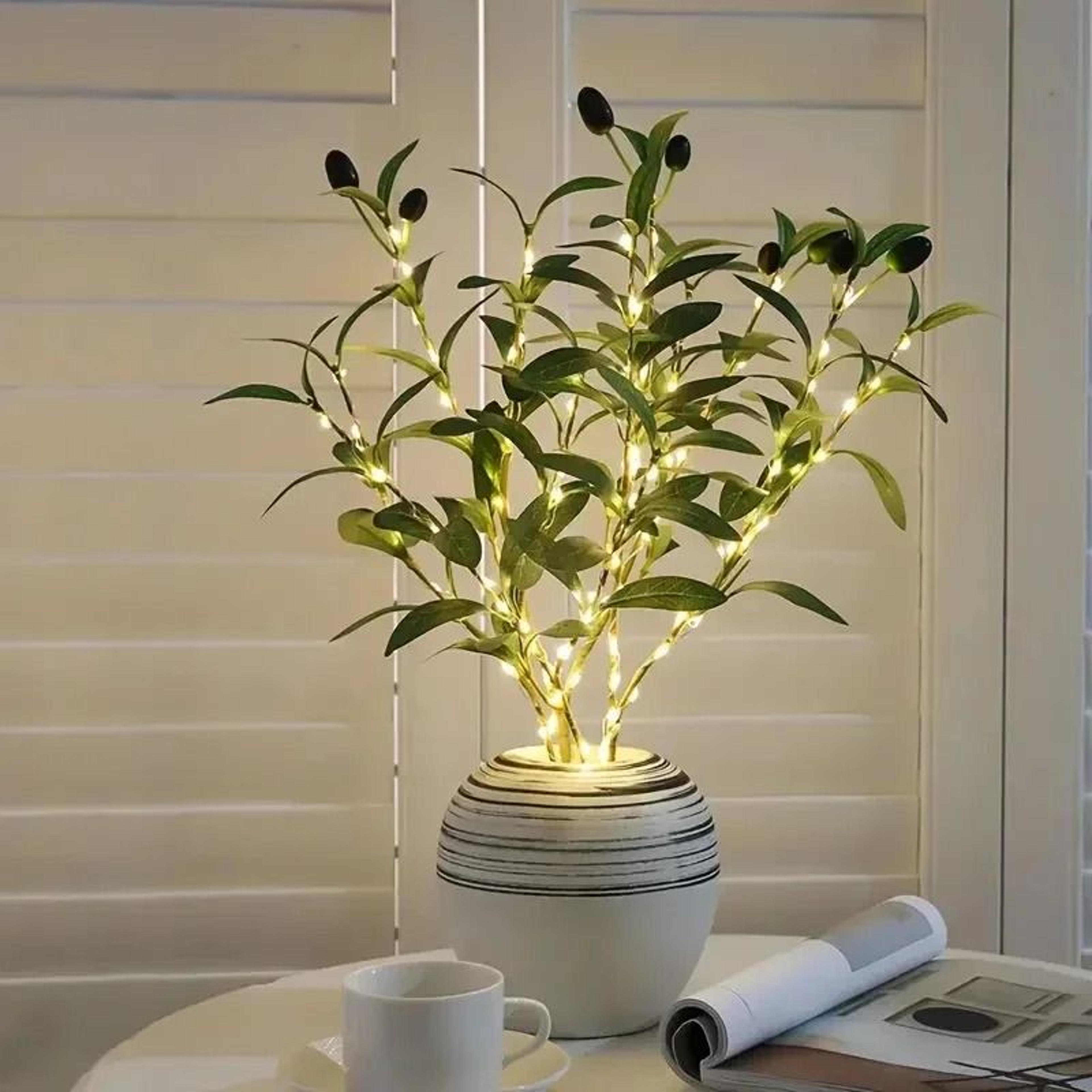 Mediterranean Luminous Olive Branches 5