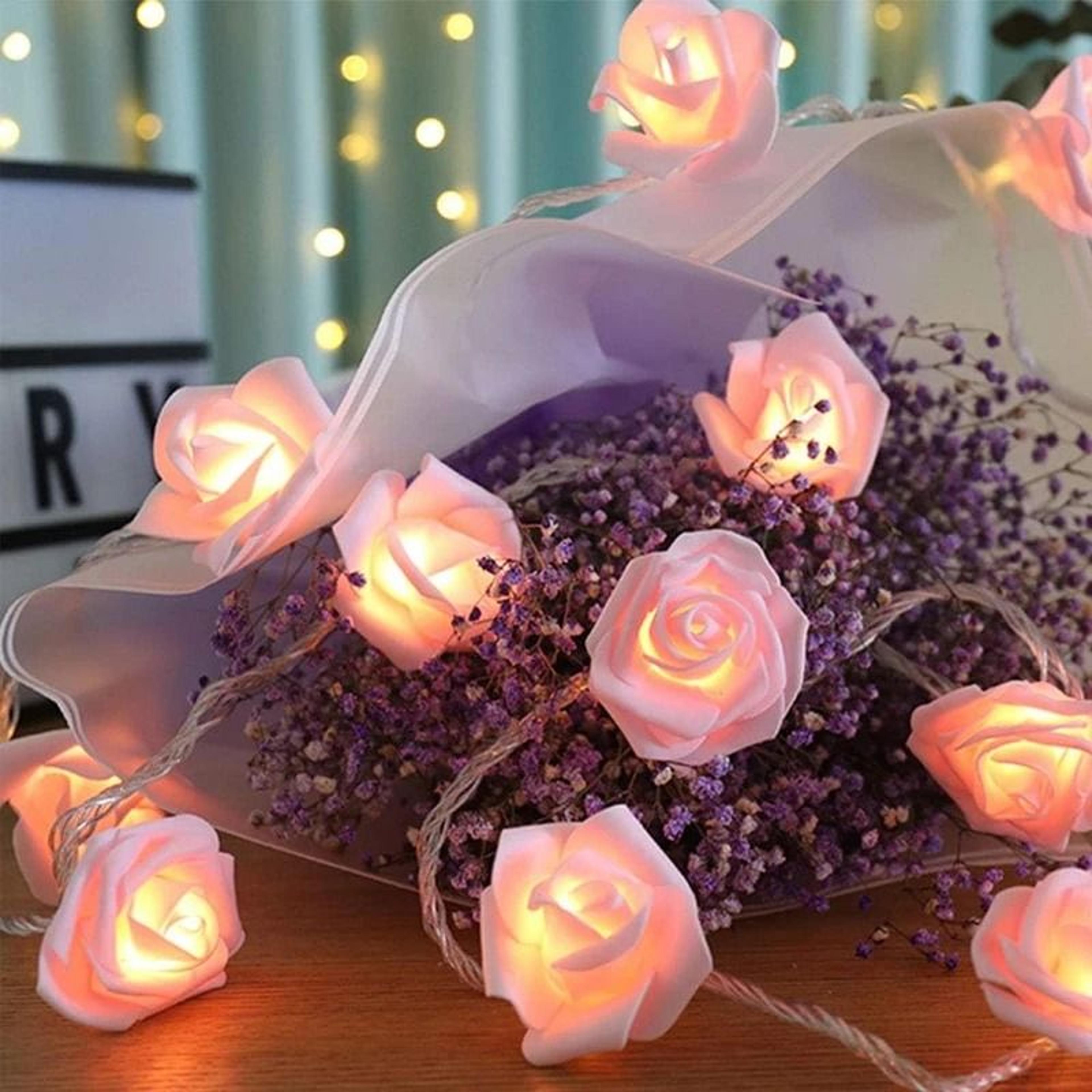 Velvet Petal Rose Fairy Strings 1