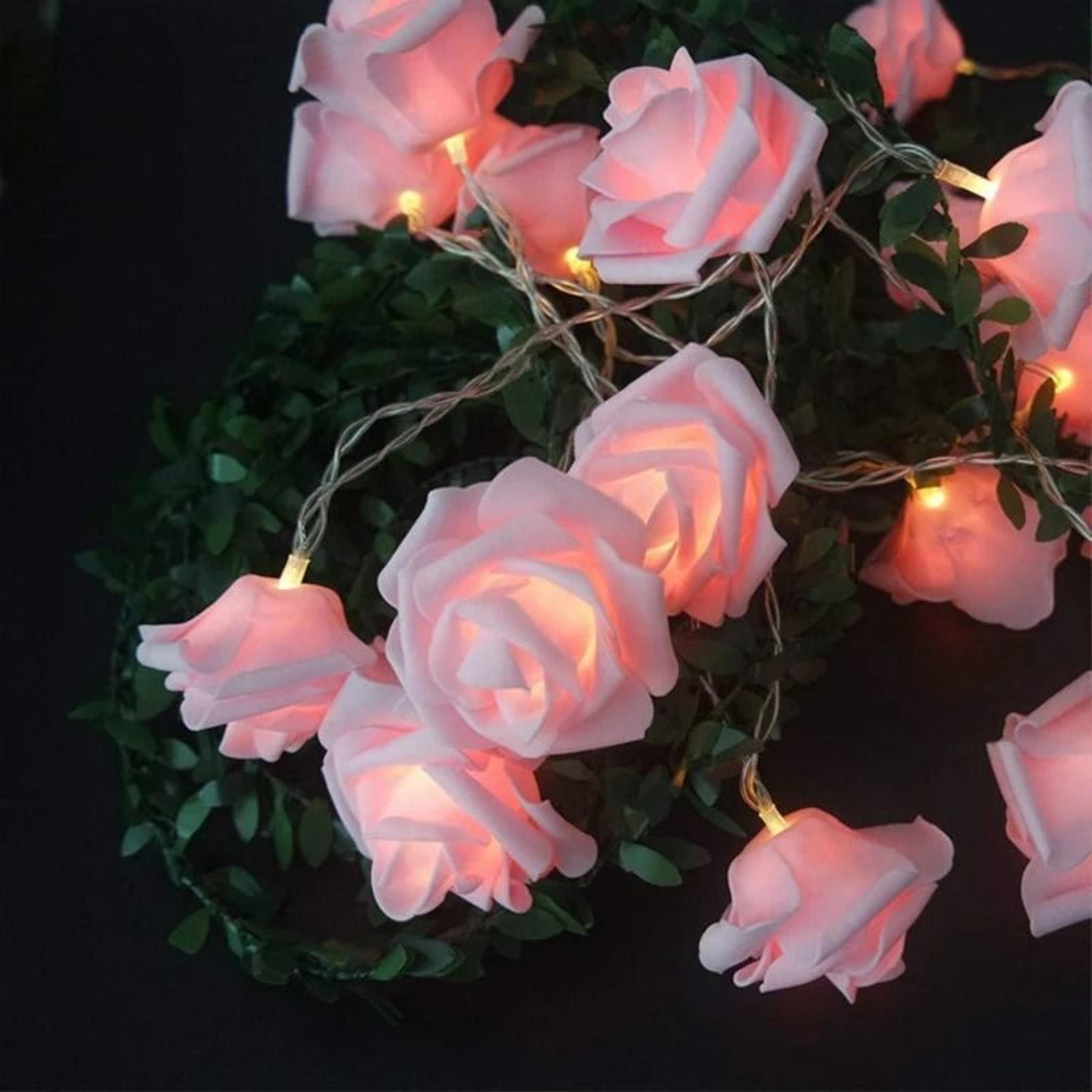 Velvet Petal Rose Fairy Strings 8
