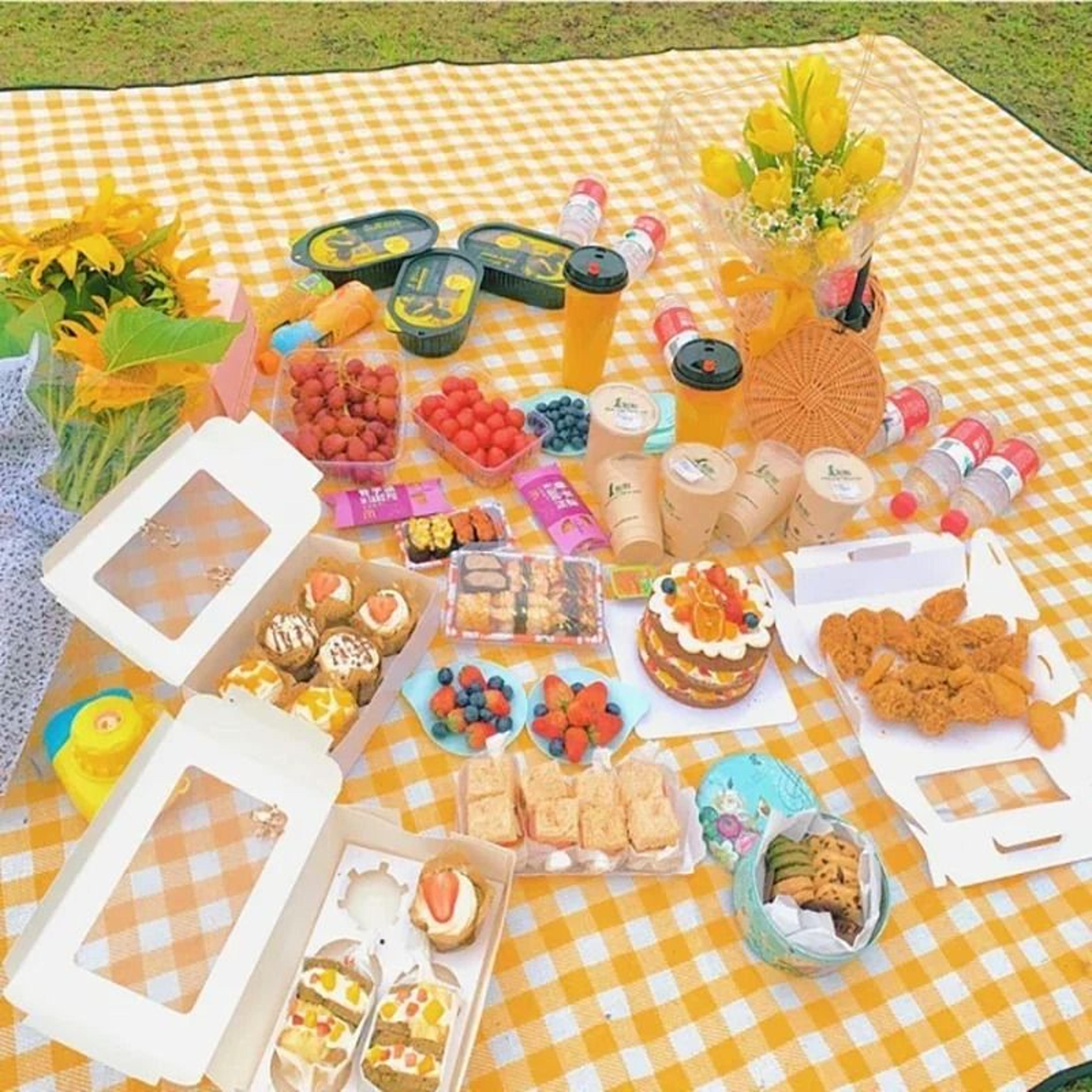 Portable Waterproof Folding Picnic  Camping Mat 4