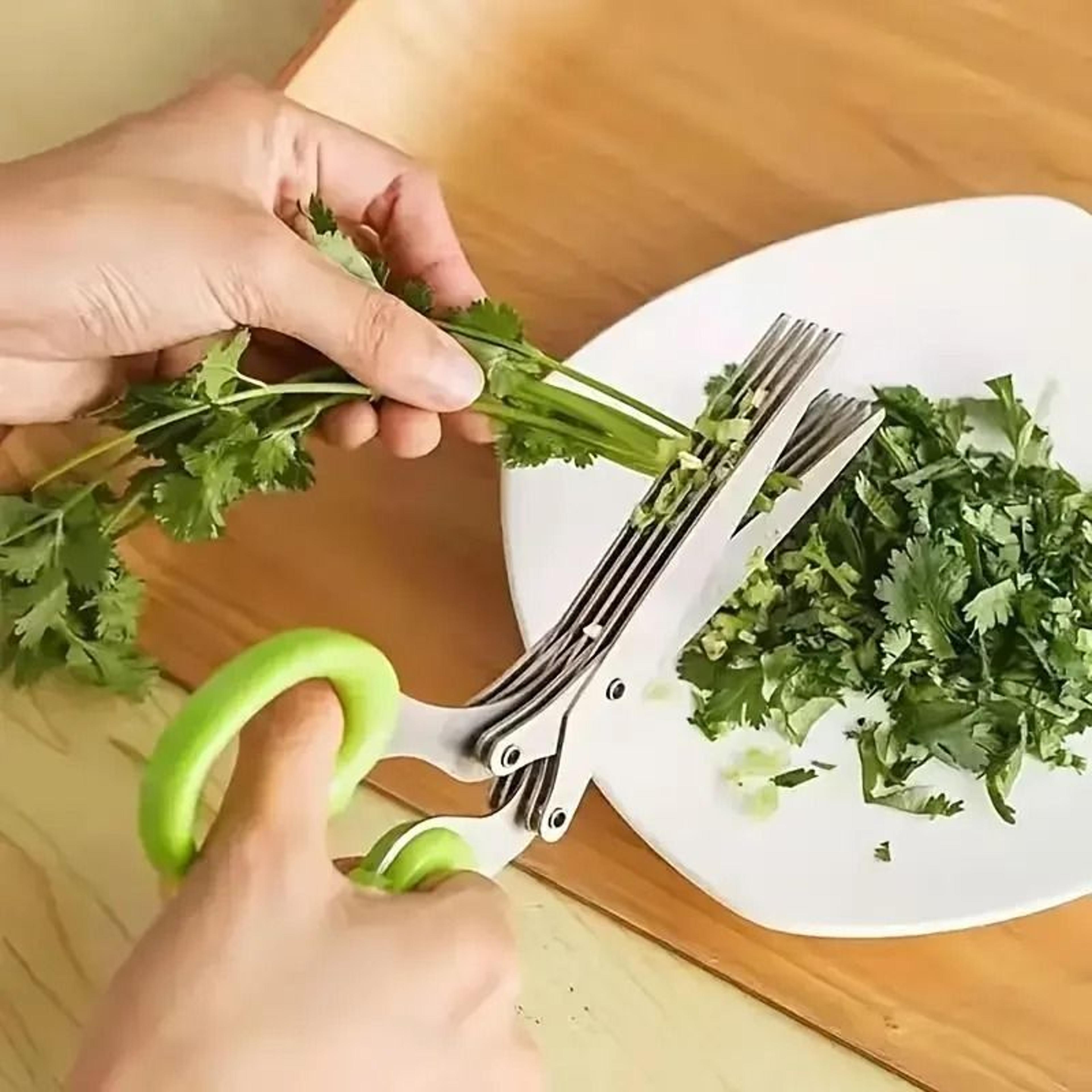 5Blade Stainless Steel Herb  Vegetable Kitchen Scissors 4