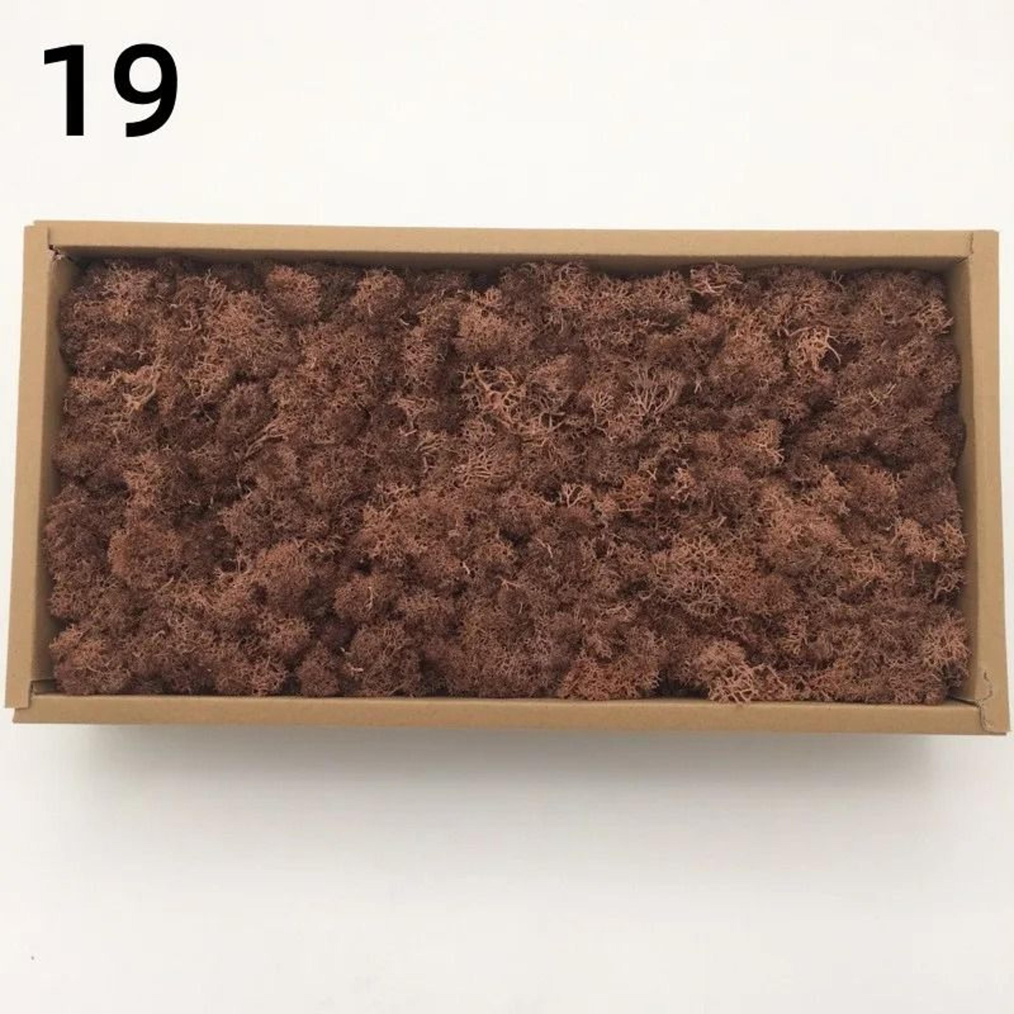 Eternal Life Artificial Moss Premium DIY Craft  Landscape Greenery 25
