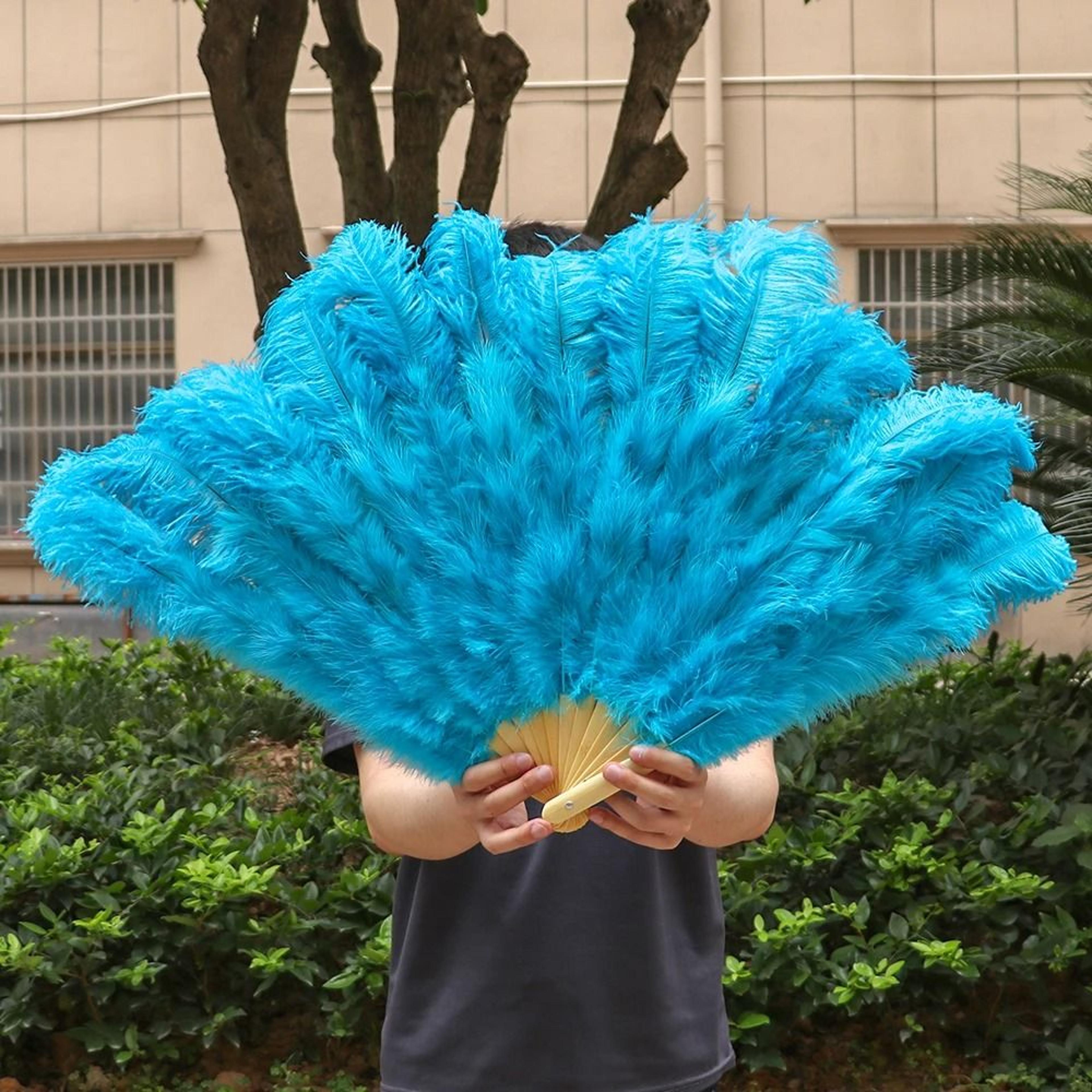 HighQuality Ostrich Feather Folding Fan  Performance  Carnival Dancer Fan With 13 Premium Bones 6
