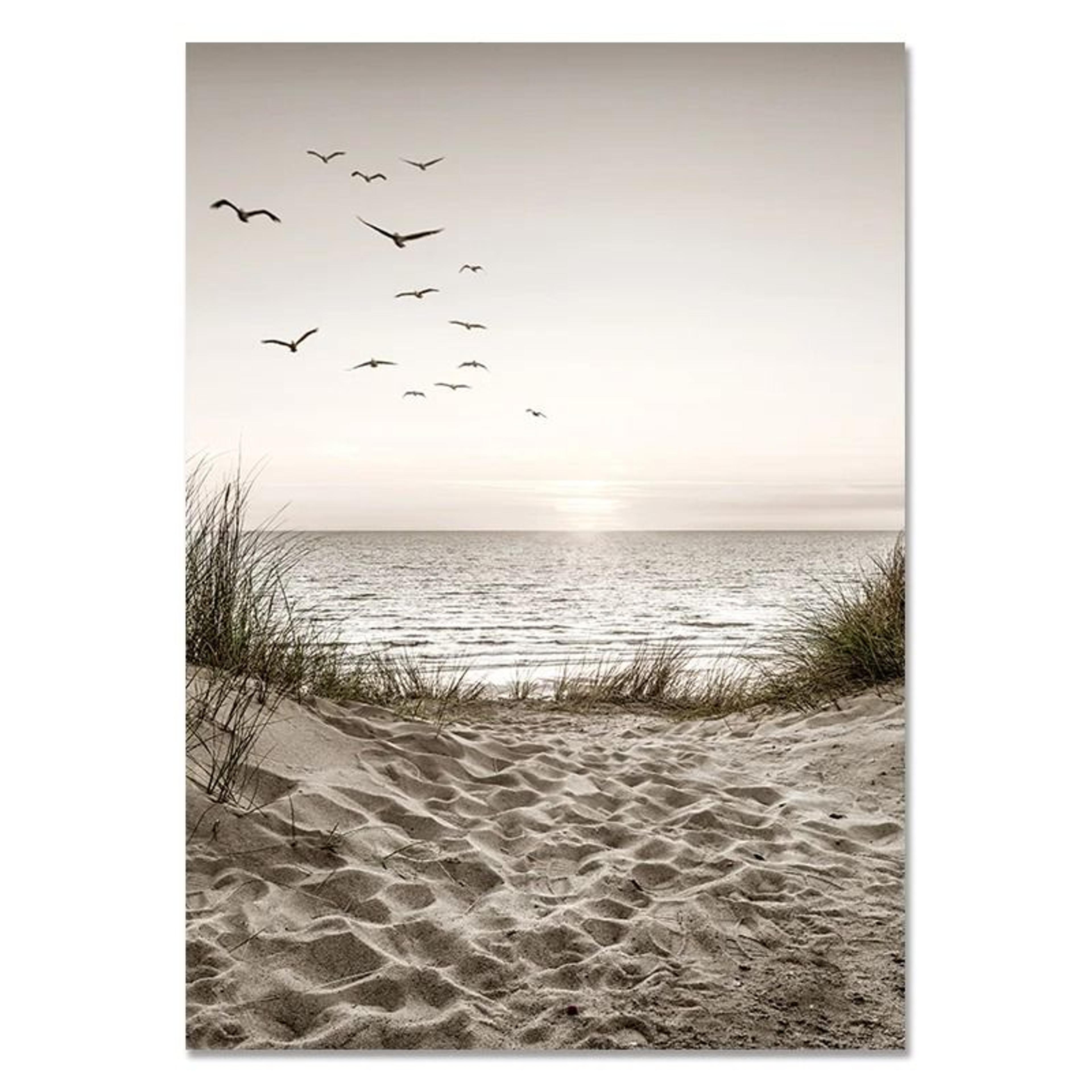 Nordic Wall Art  White Shell Beach Flowers  Dandelion Canvas Prints For Minimalist Living Room Home 12
