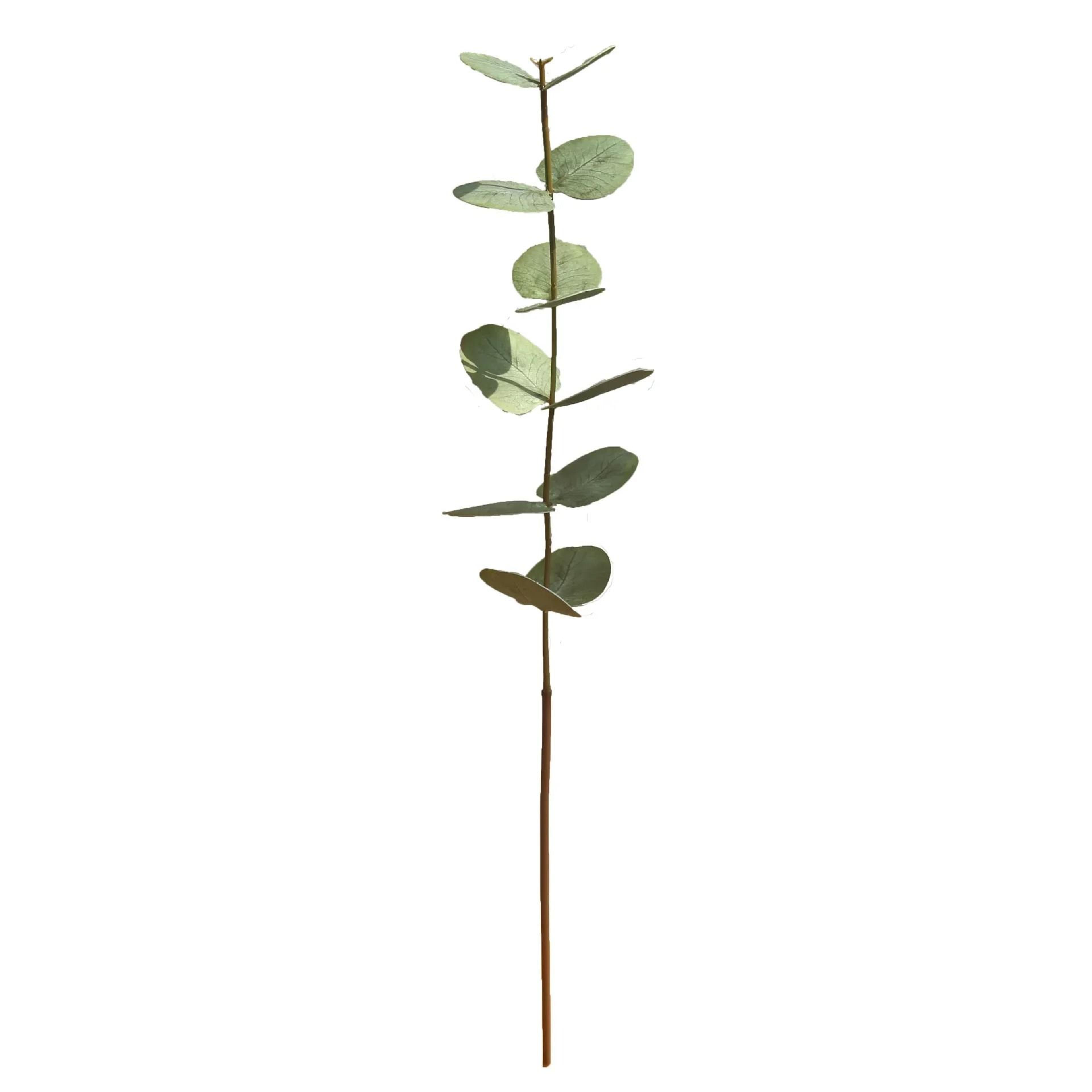 10Piece Real Touch Artificial Eucalyptus Set  Premium HandFeel Leaves For Wedding Bouquets  Modern  4