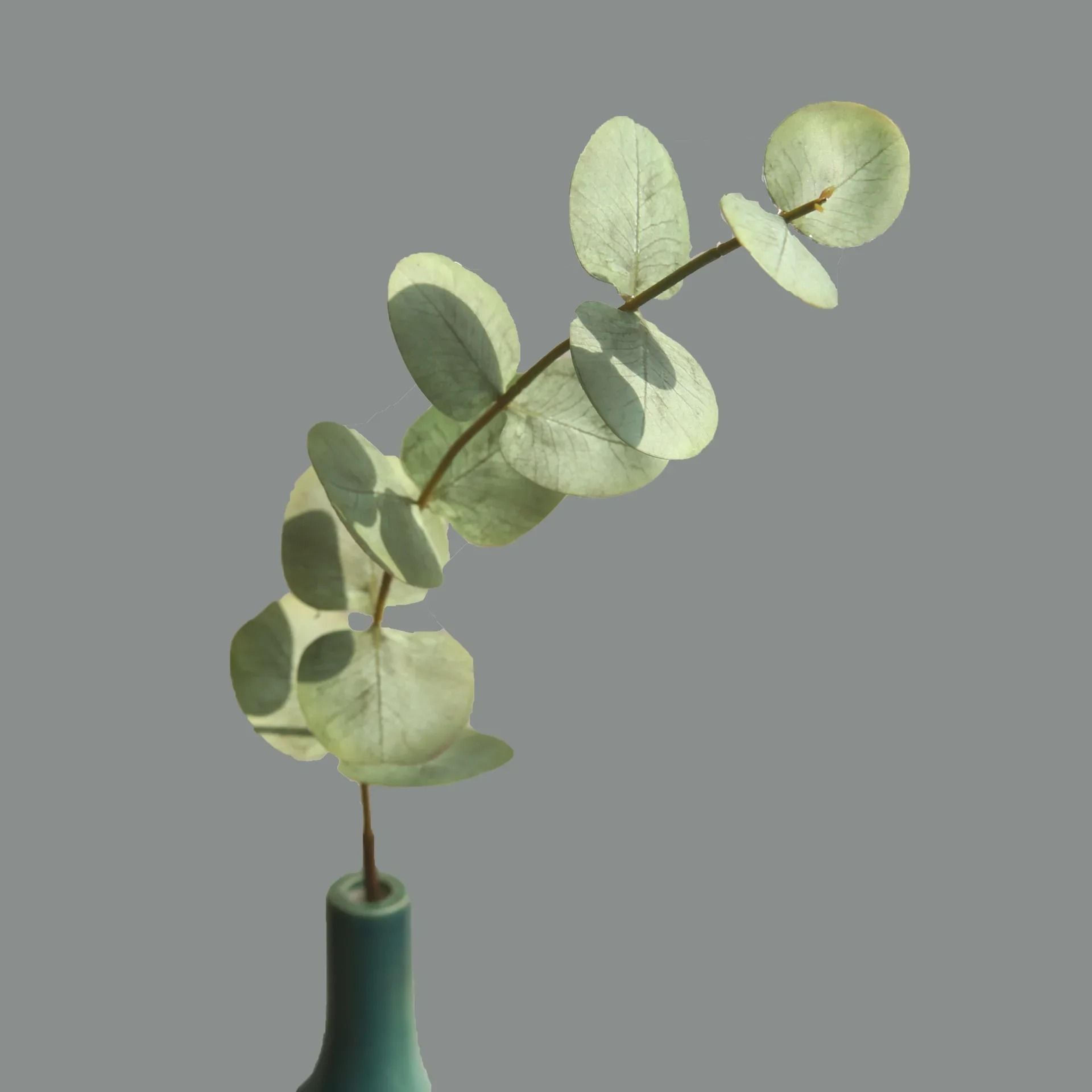 10Piece Real Touch Artificial Eucalyptus Set  Premium HandFeel Leaves For Wedding Bouquets  Modern  6