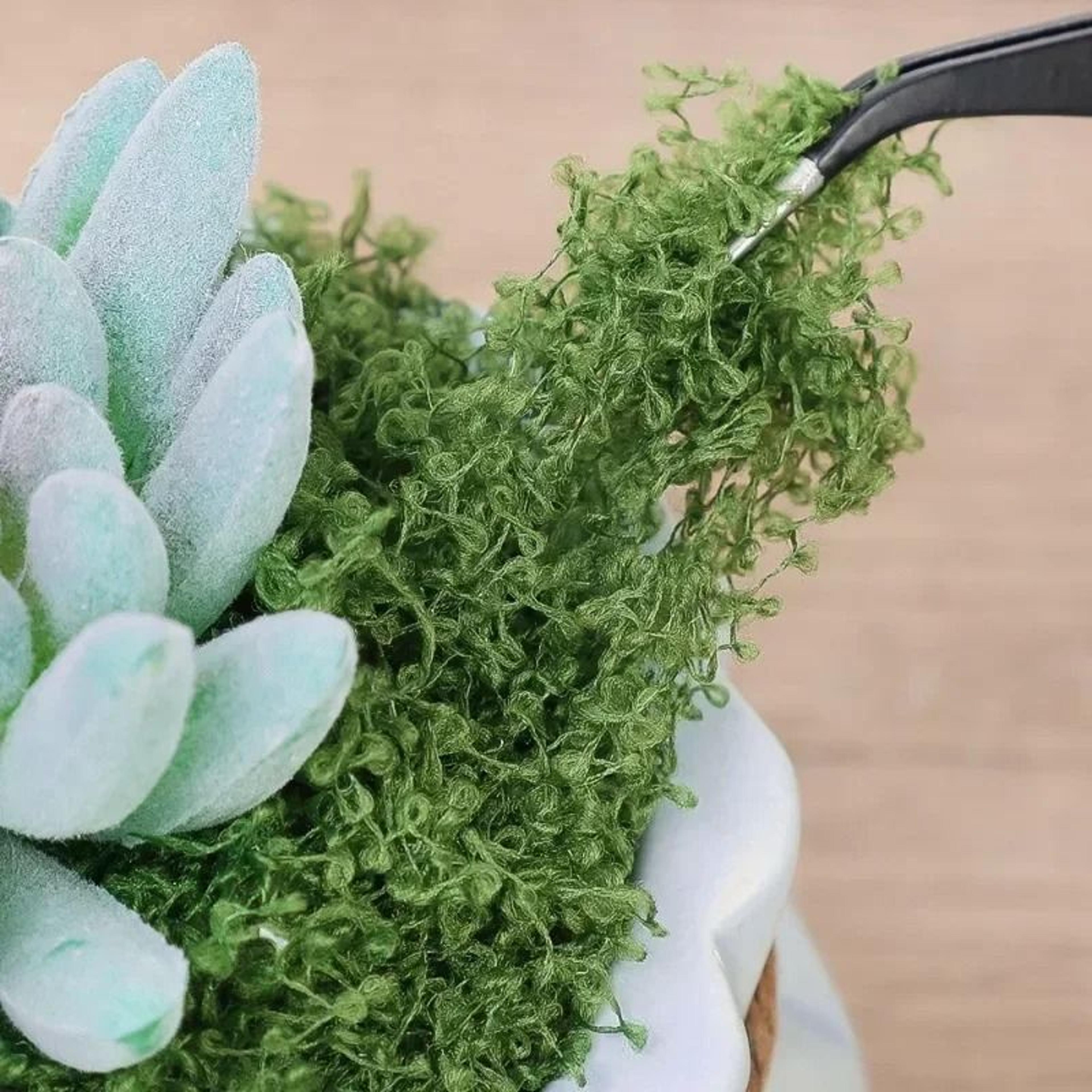 Eternal Artificial Green Moss  PreservedEffect Moss For Mini Landscapes DIY Crafts  Botanical Room  4