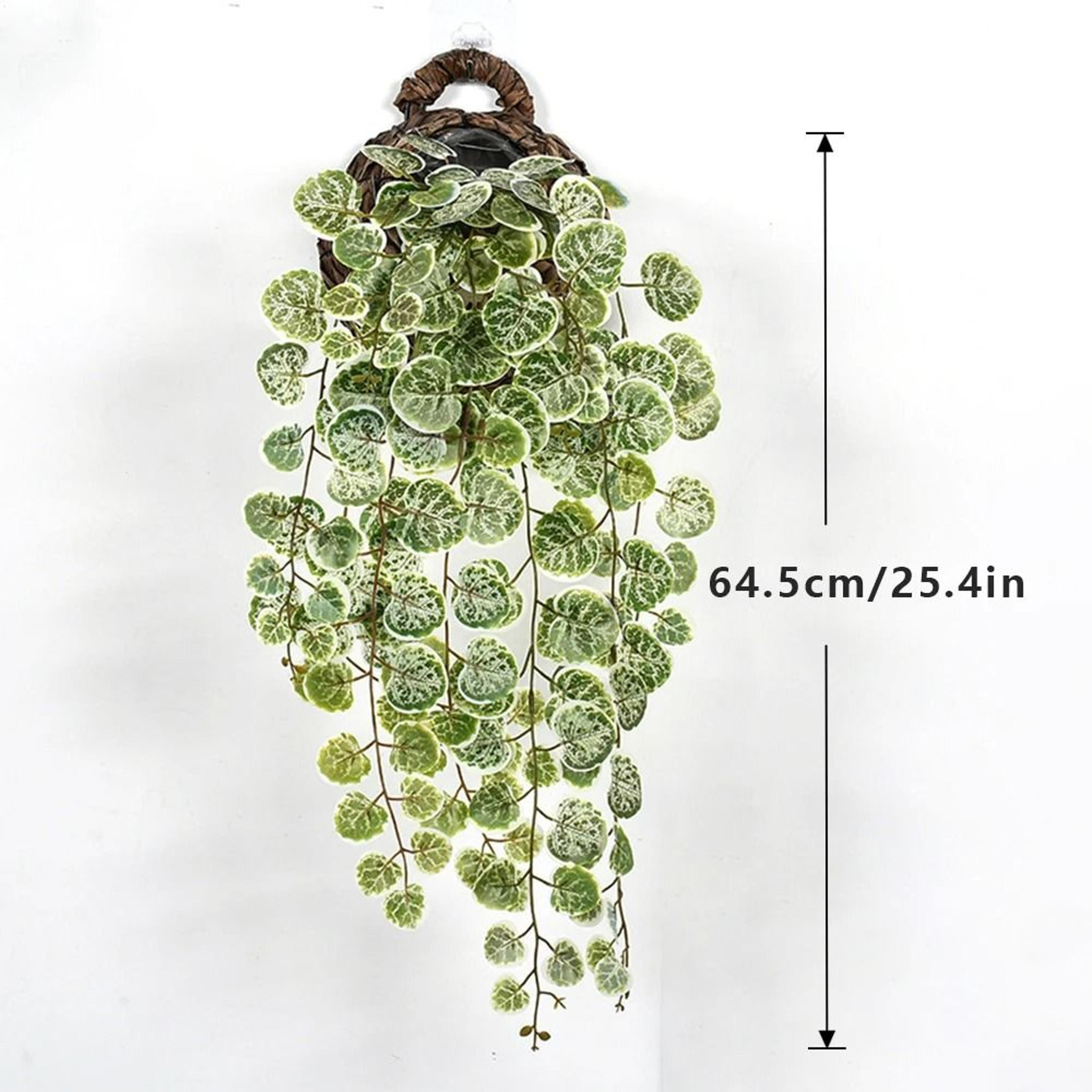 Lush Artificial Eucalyptus  Tropical Hanging Vines 12