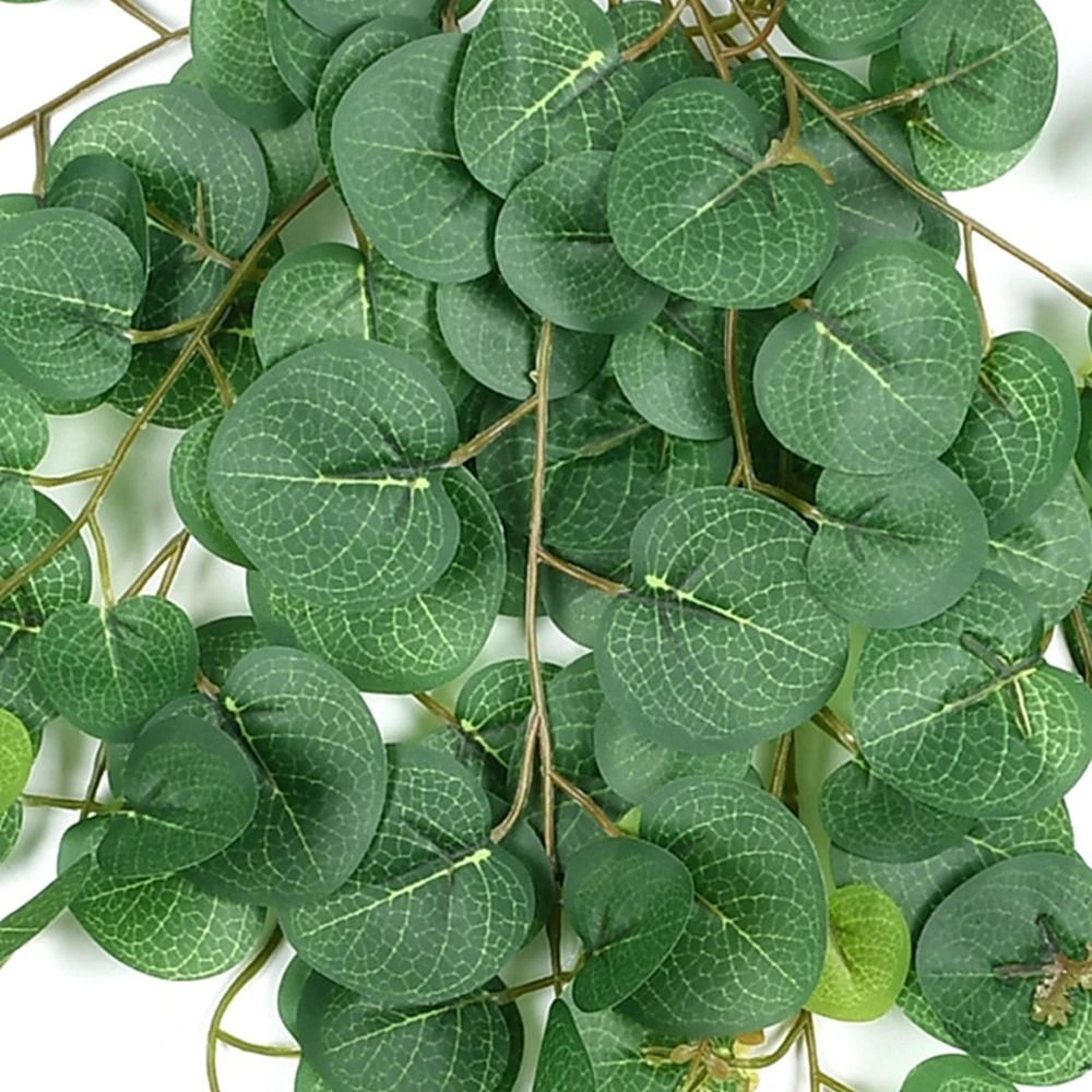 Lush Artificial Eucalyptus  Tropical Hanging Vines 5