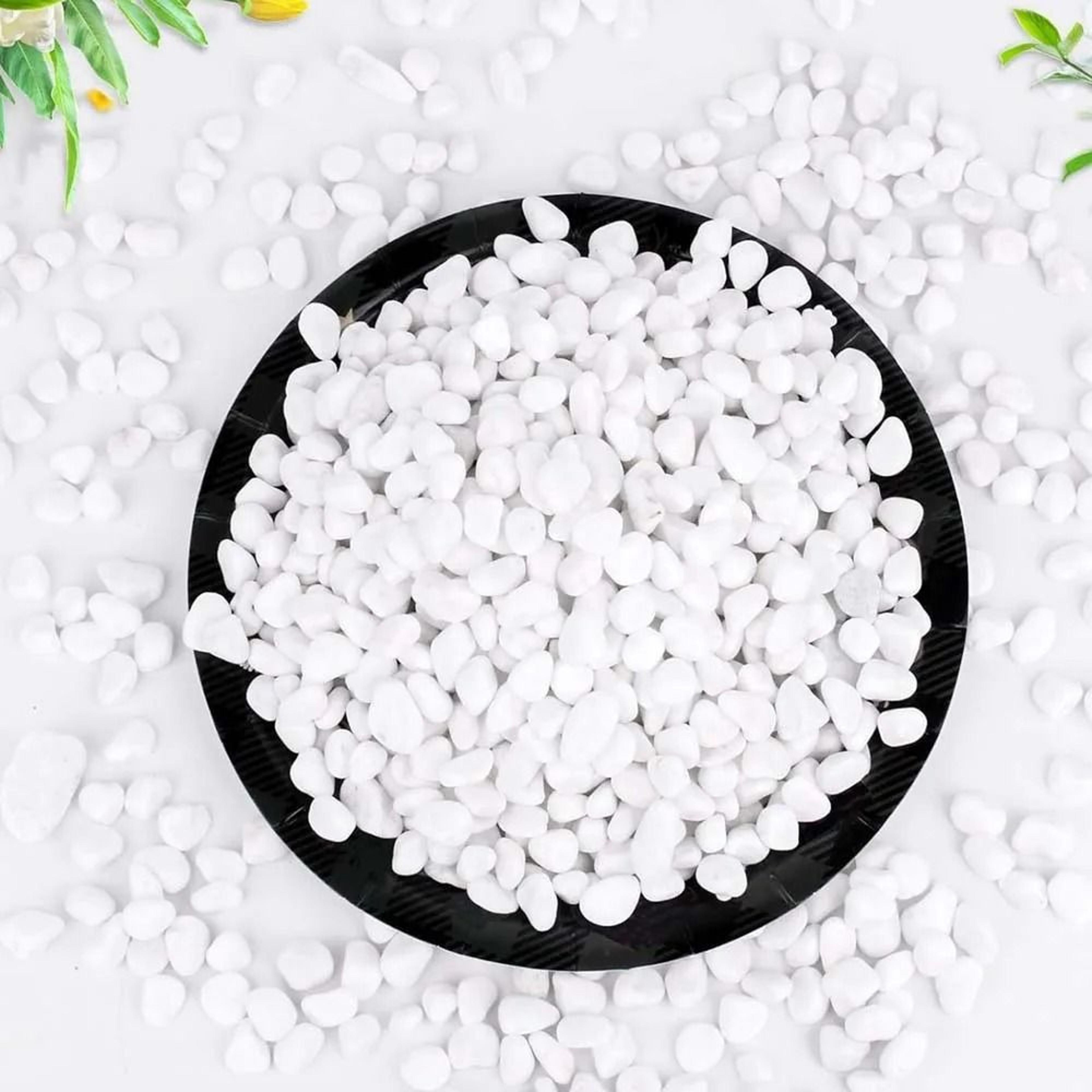 Natural Cobblestone Decorative Pebbles  HighDefinition Mineral Accents For Succulent Bonsai  Aquati 2