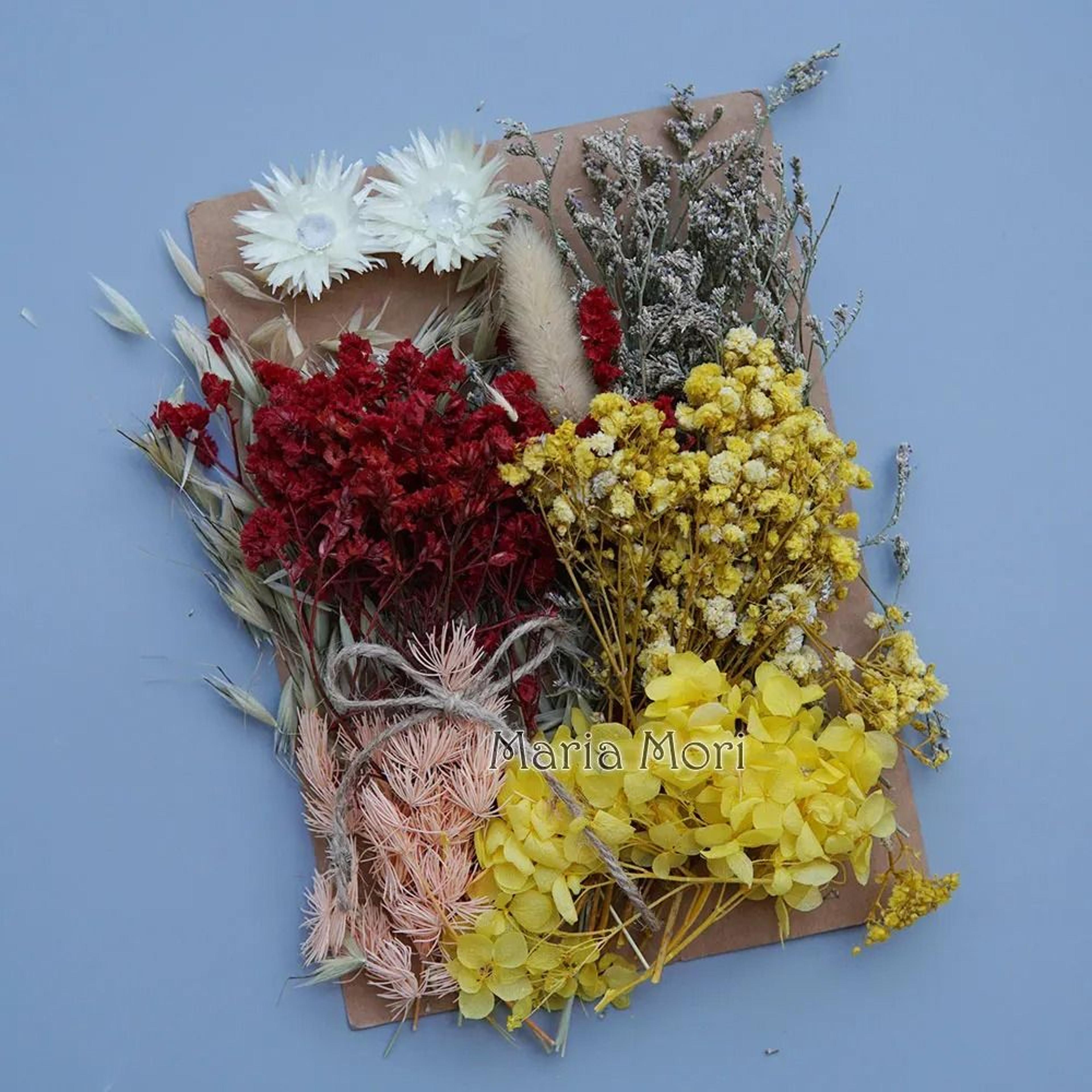 Botanical Narrative Elements  HighDefinition Preserved Floral Materials 9