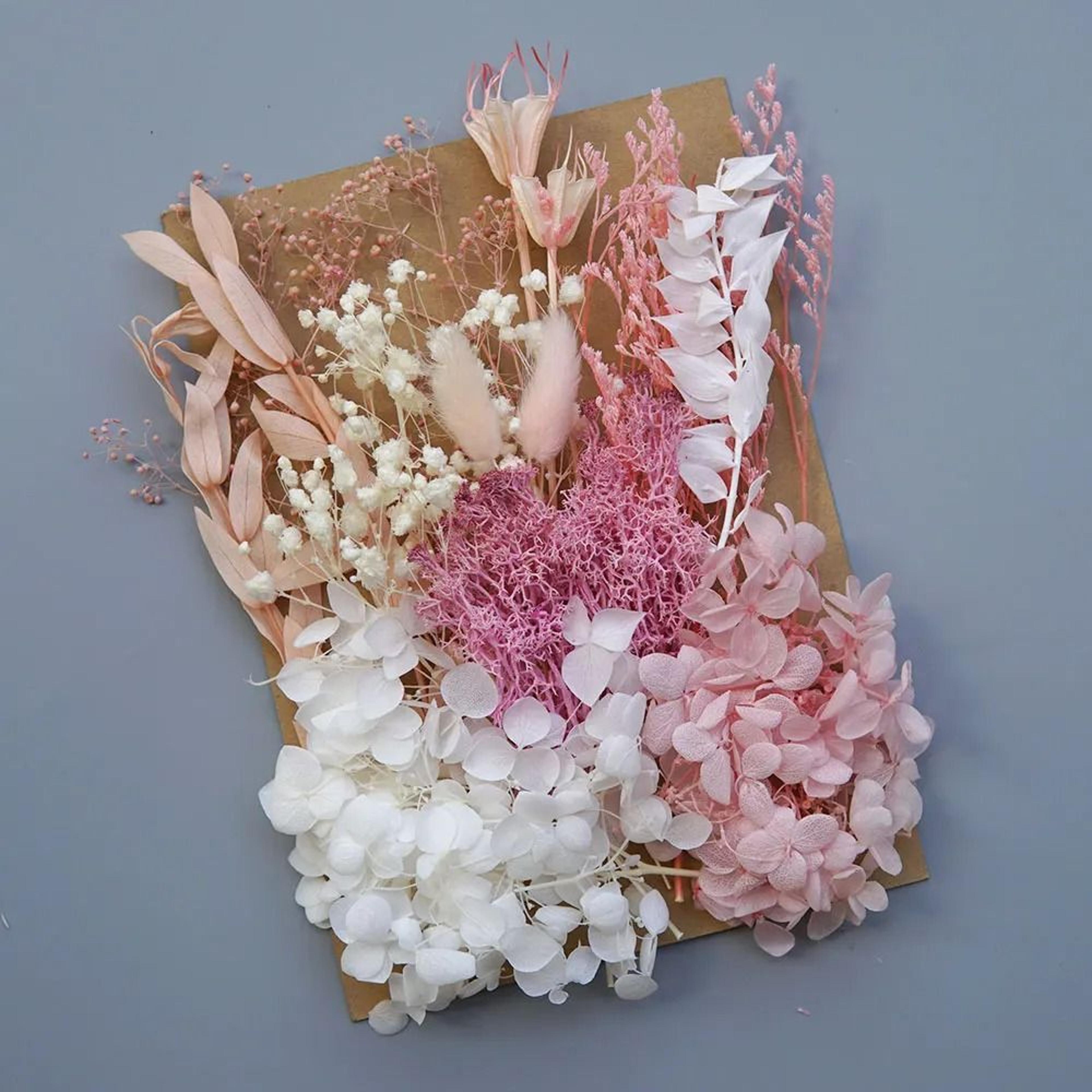 Botanical Narrative Elements  HighDefinition Preserved Floral Materials 11