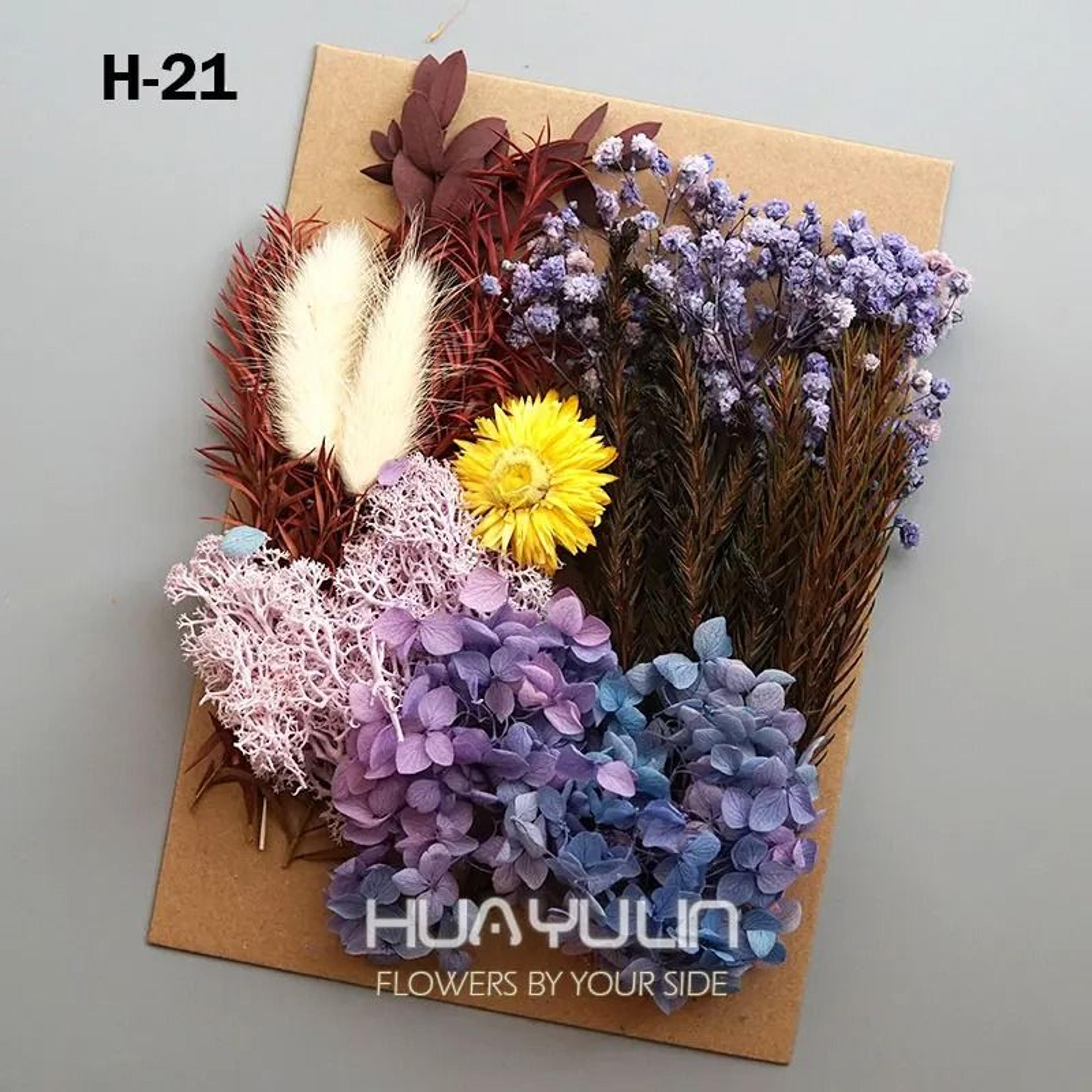 Botanical Narrative Elements  HighDefinition Preserved Floral Materials 12