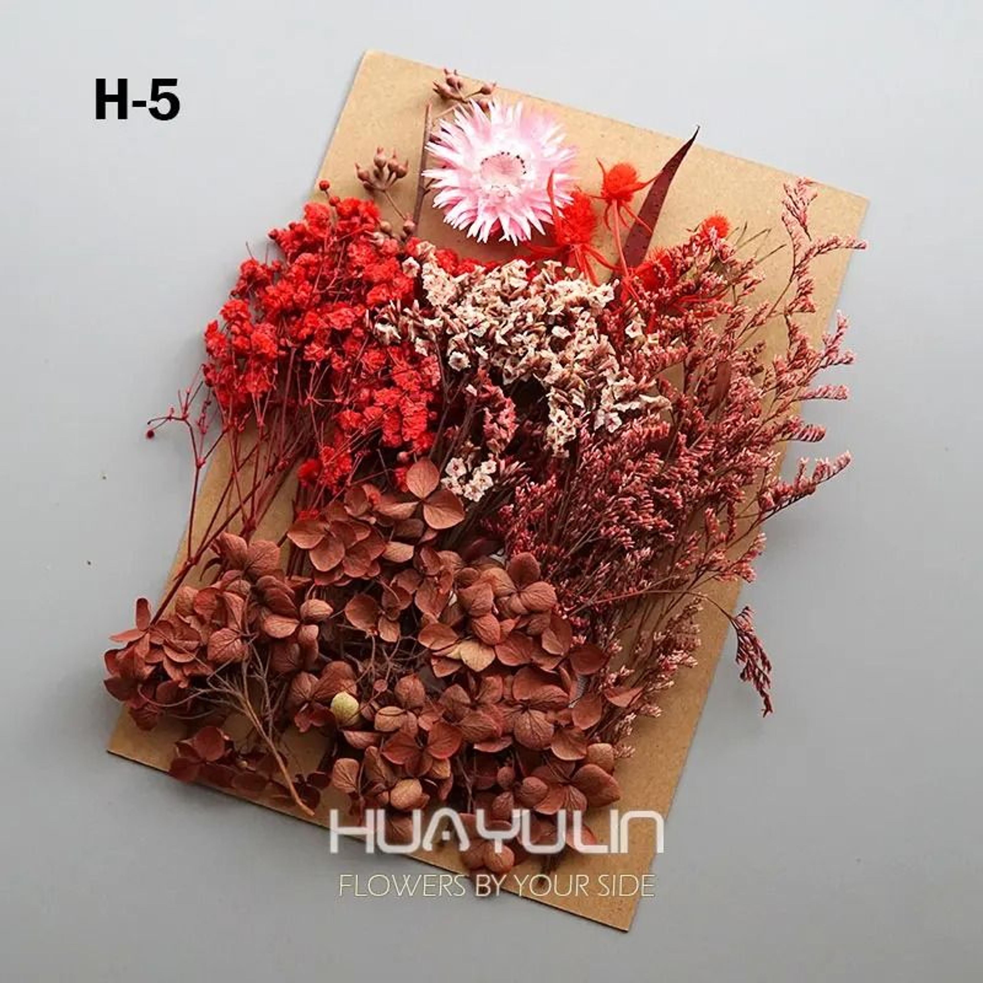 Botanical Narrative Elements  HighDefinition Preserved Floral Materials 18
