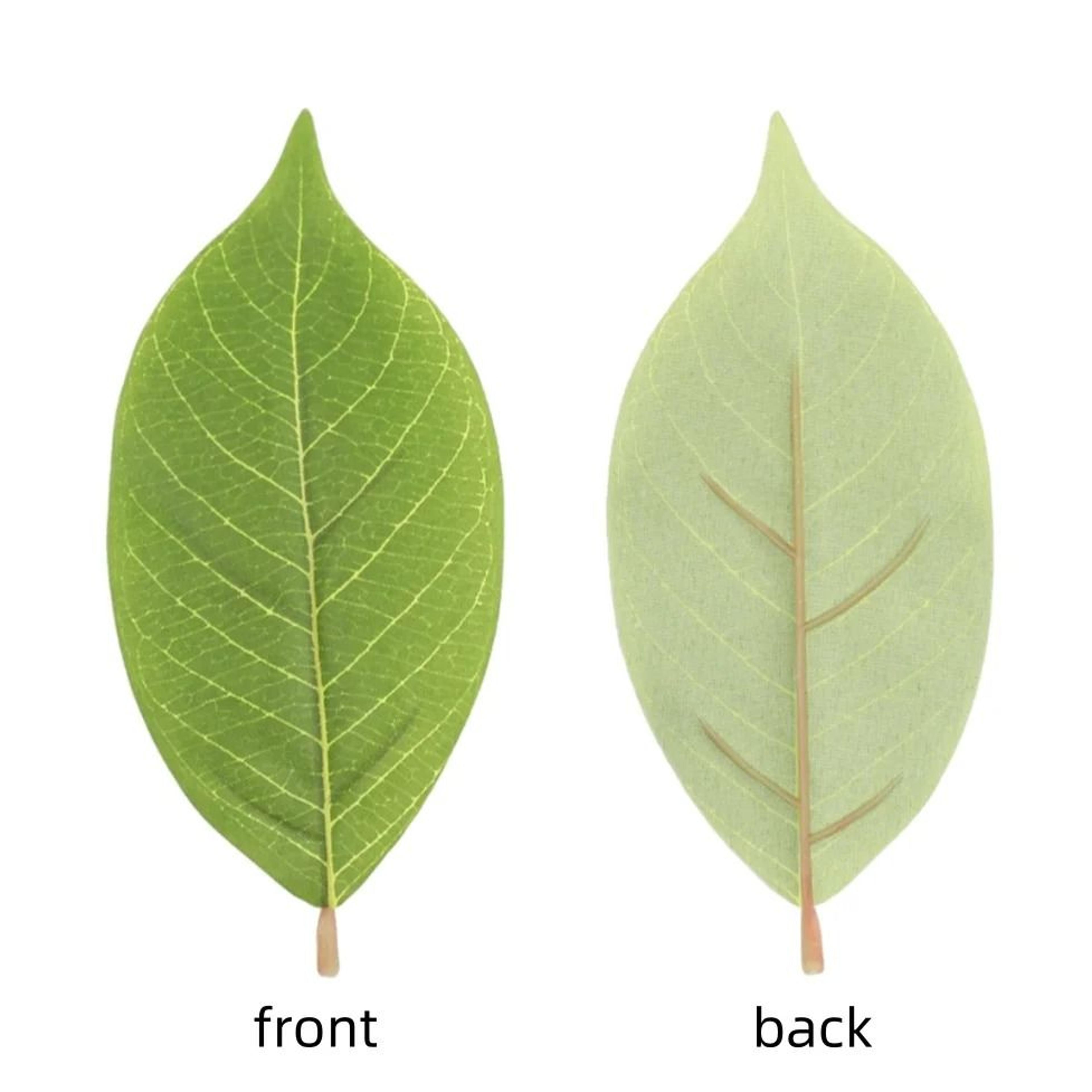 Botanical Narrative Sculpture  HighDefinition Magnolia Leaf Architectural Set 1