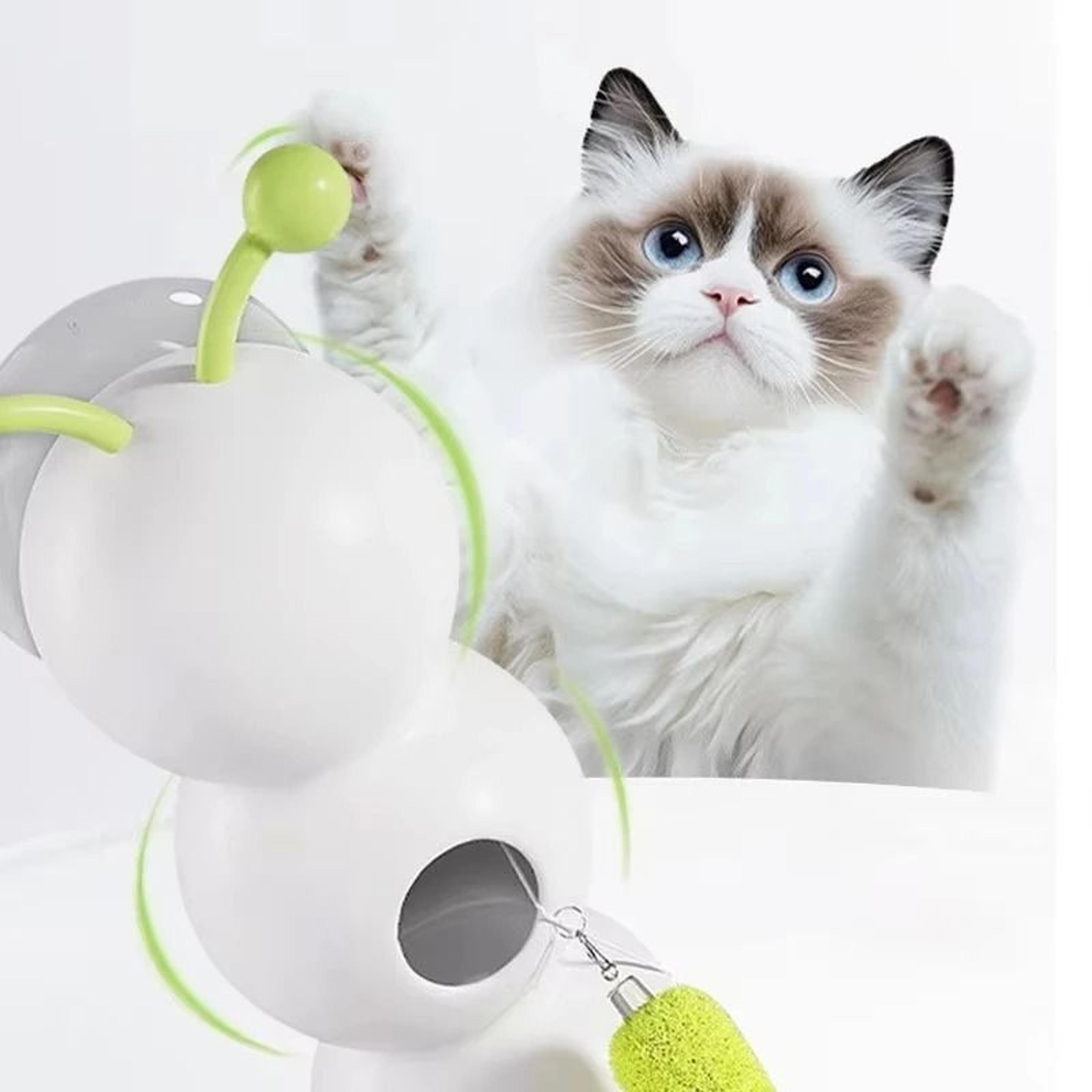 Interactive Caterpillar Cat Toy  MotionActivated WhackAWorm  Rechargeable Automatic Teaser With Sen 3