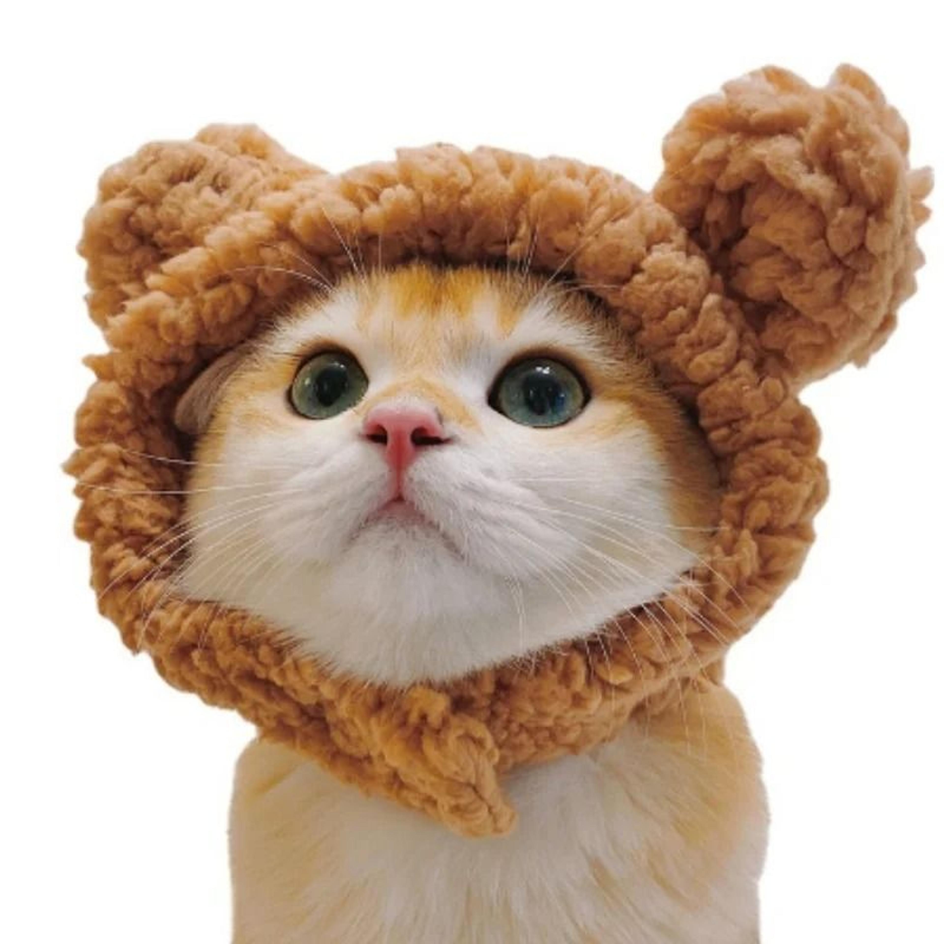 Adorable Lion Mane Pet Transformation Cap 9