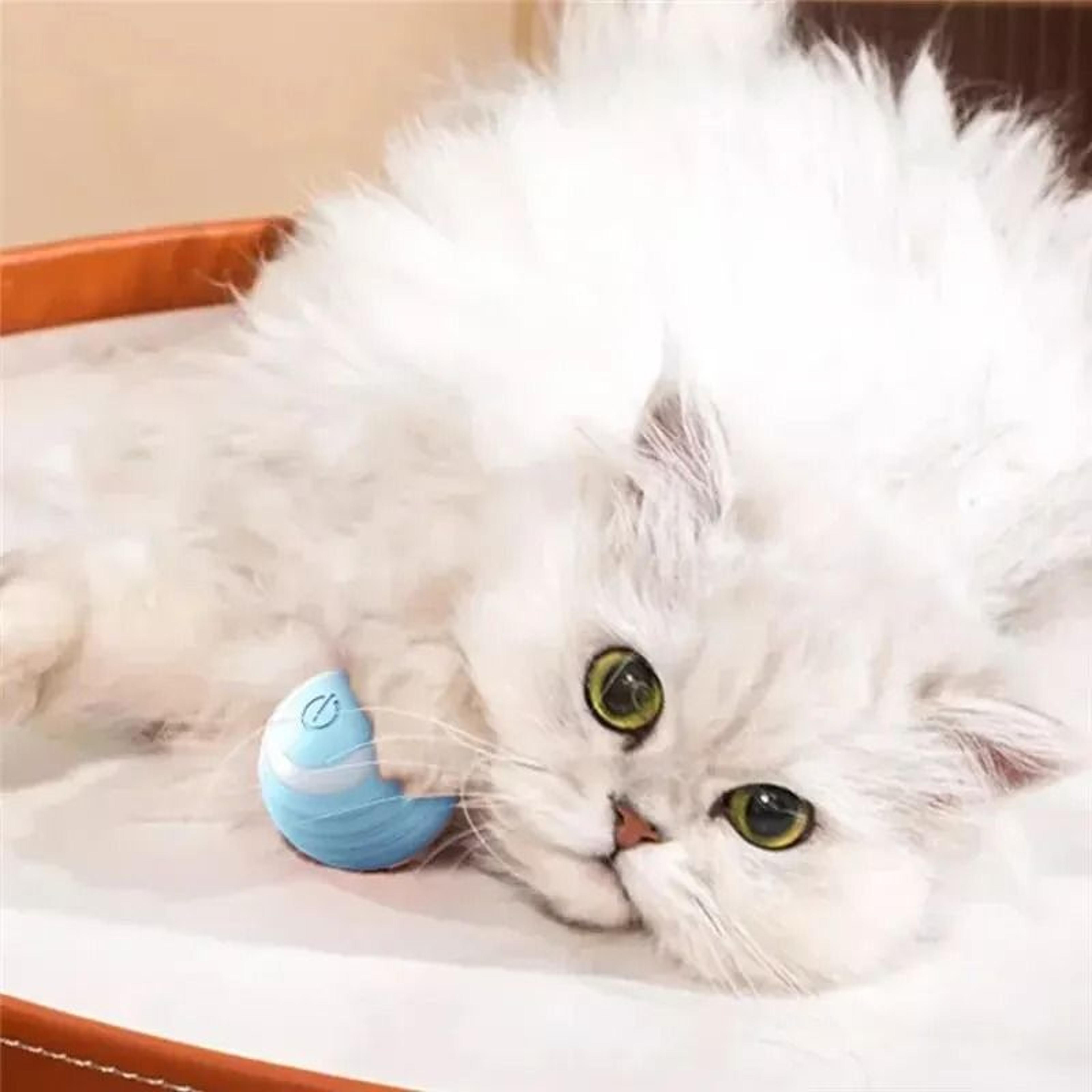 Intelligent Automatic Rolling Cat Ball 3