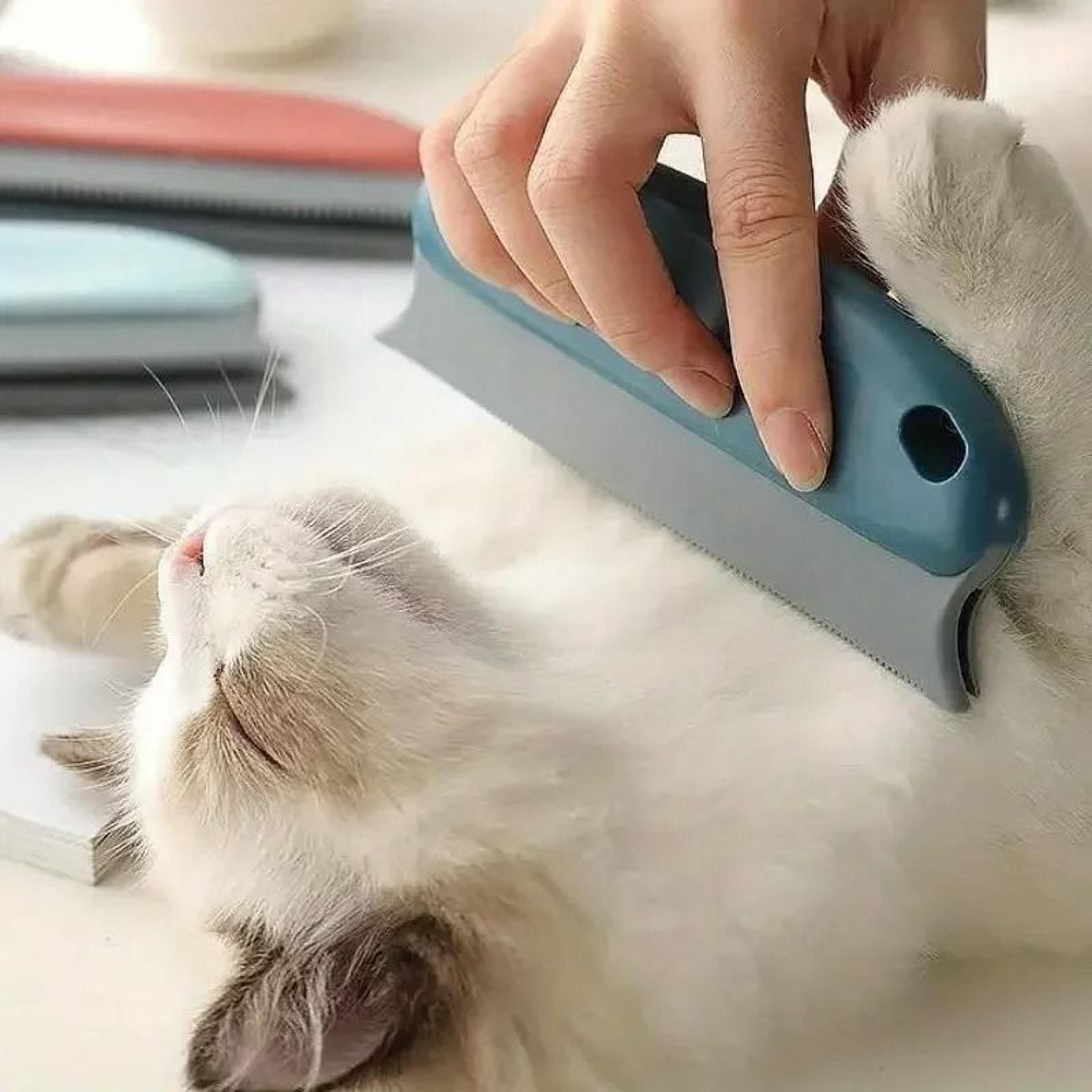 pet hair detailer & multi-surface cleaning brush