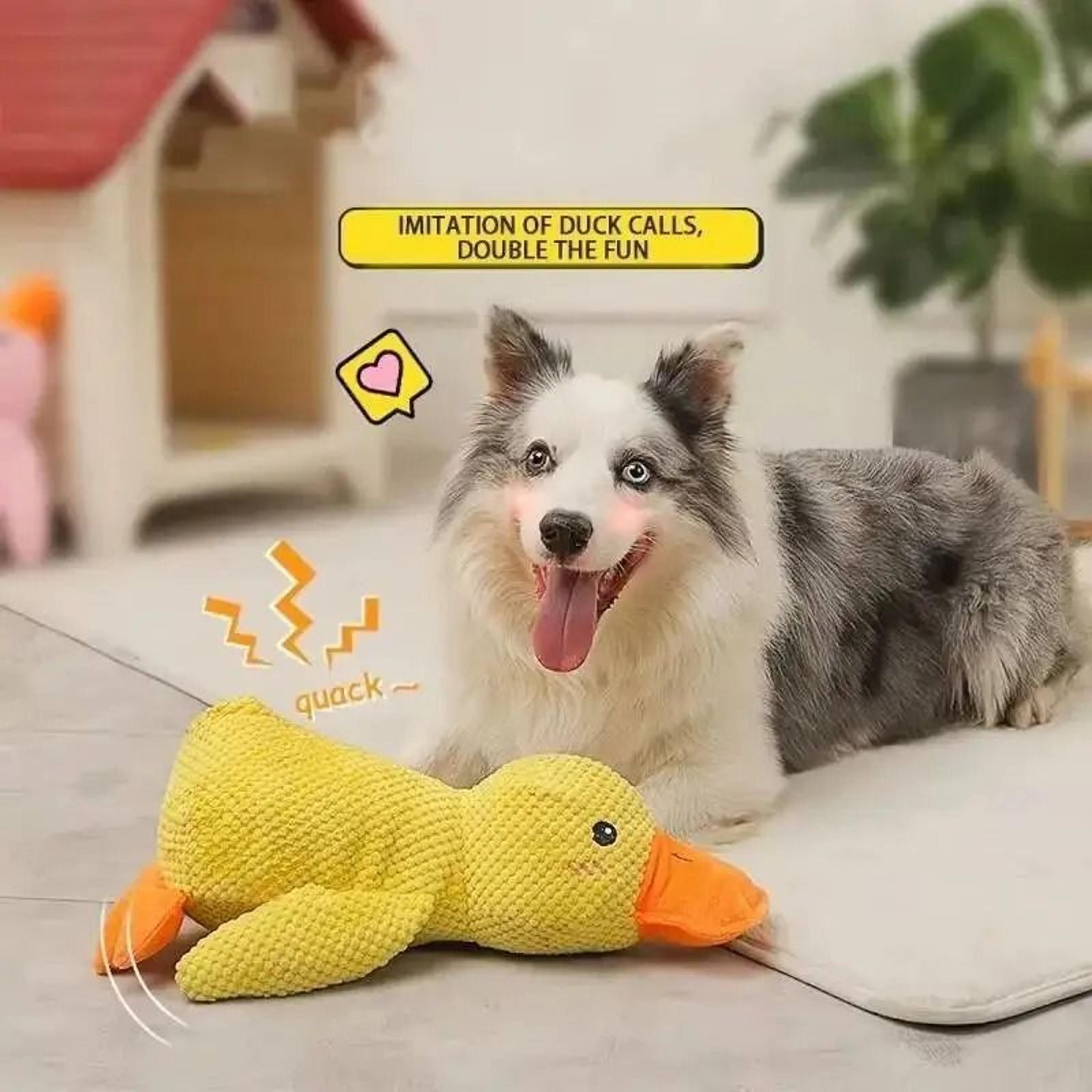 QuackGuard MultiTexture Calming Duck Toy 4