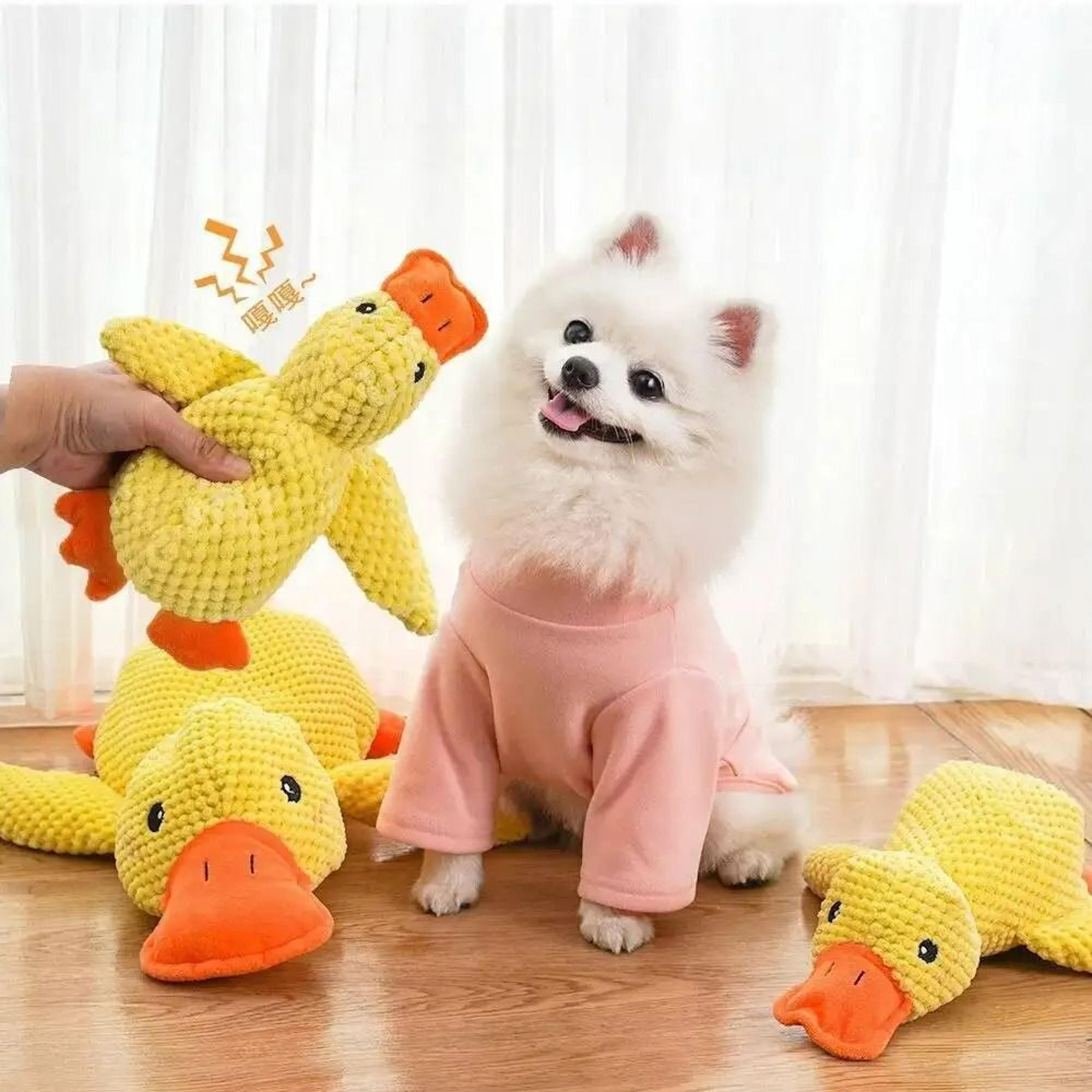 QuackGuard MultiTexture Calming Duck Toy 5