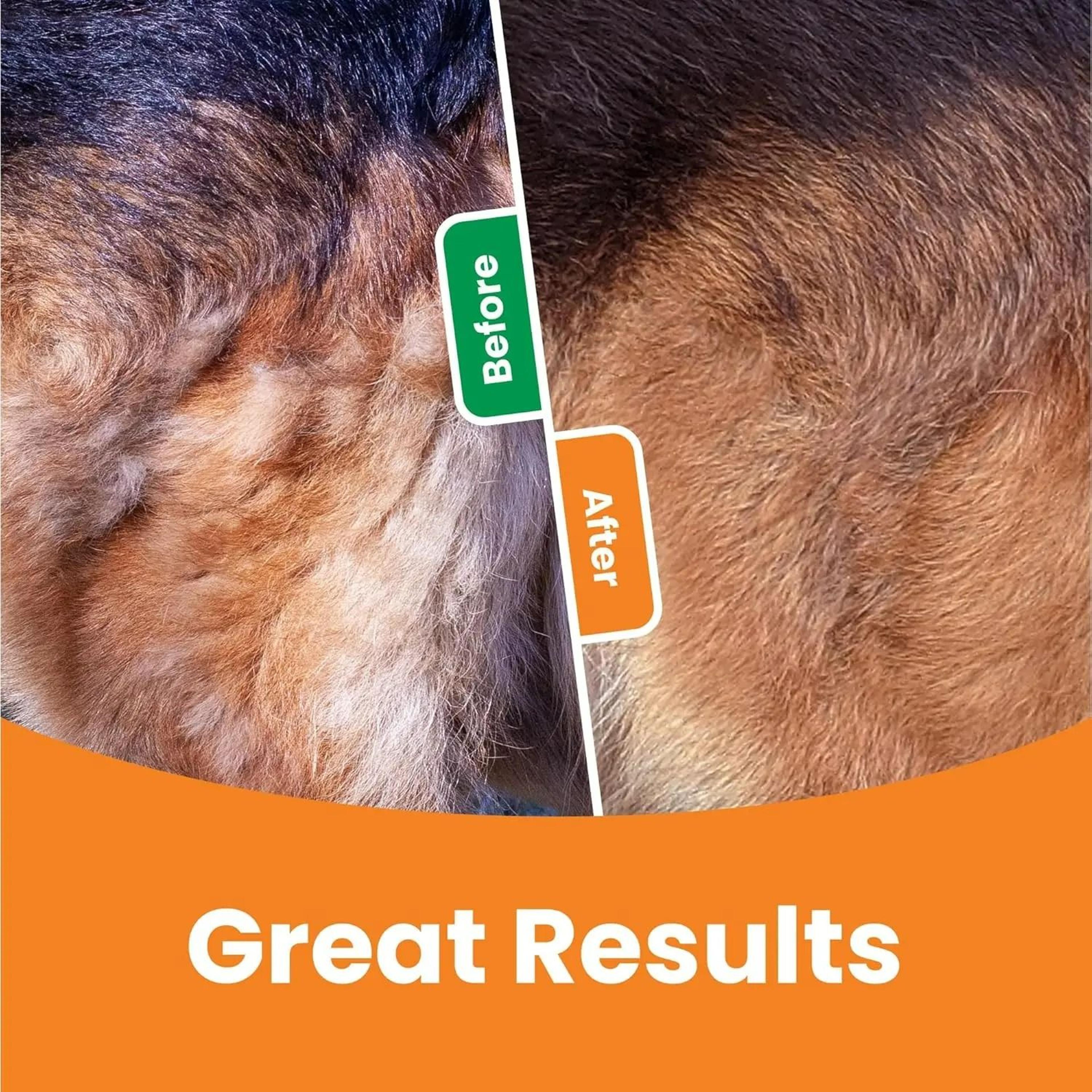 GroomingPro 3in1 TripleAction Deshedding Station 5