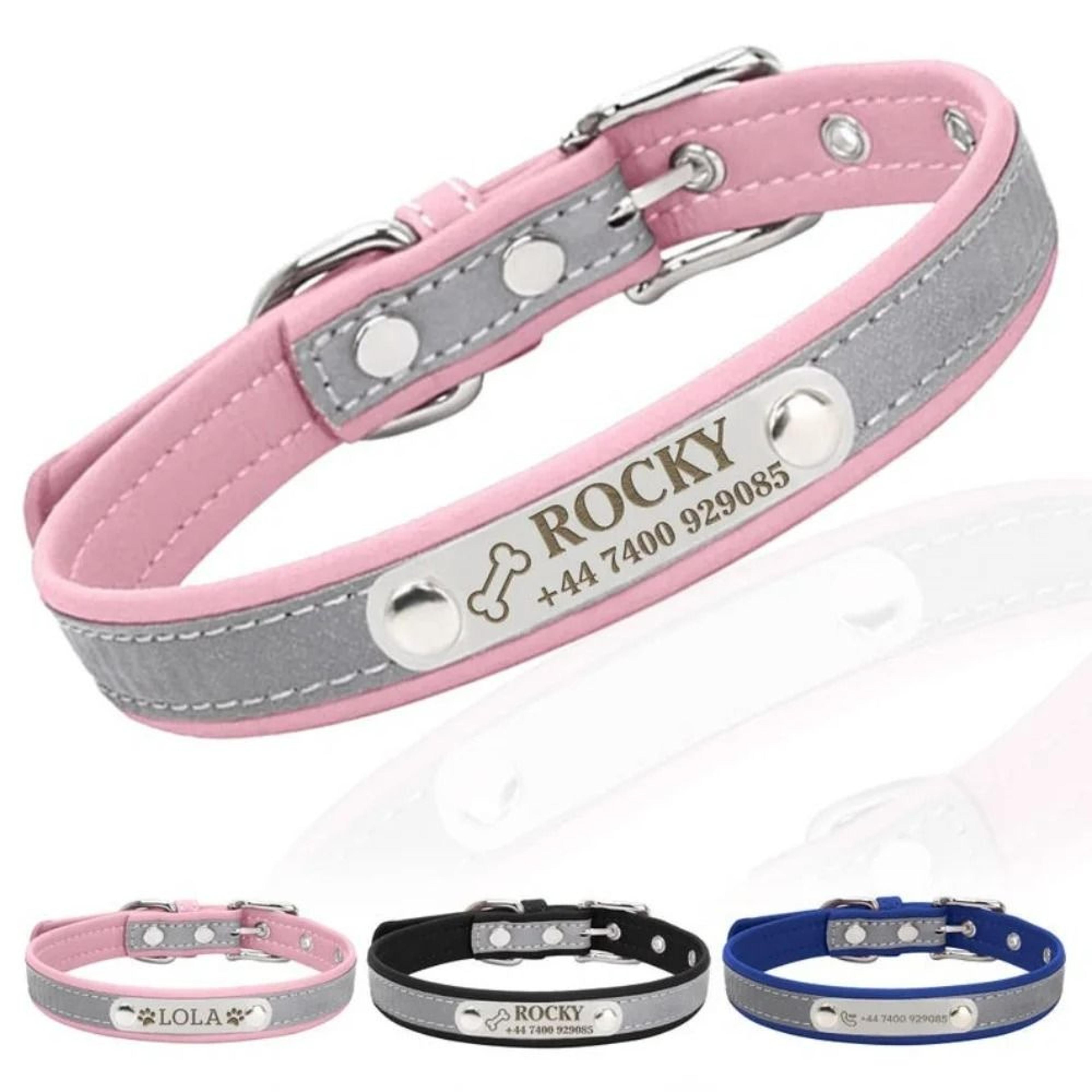 signature-series custom engraved reflective pet collar