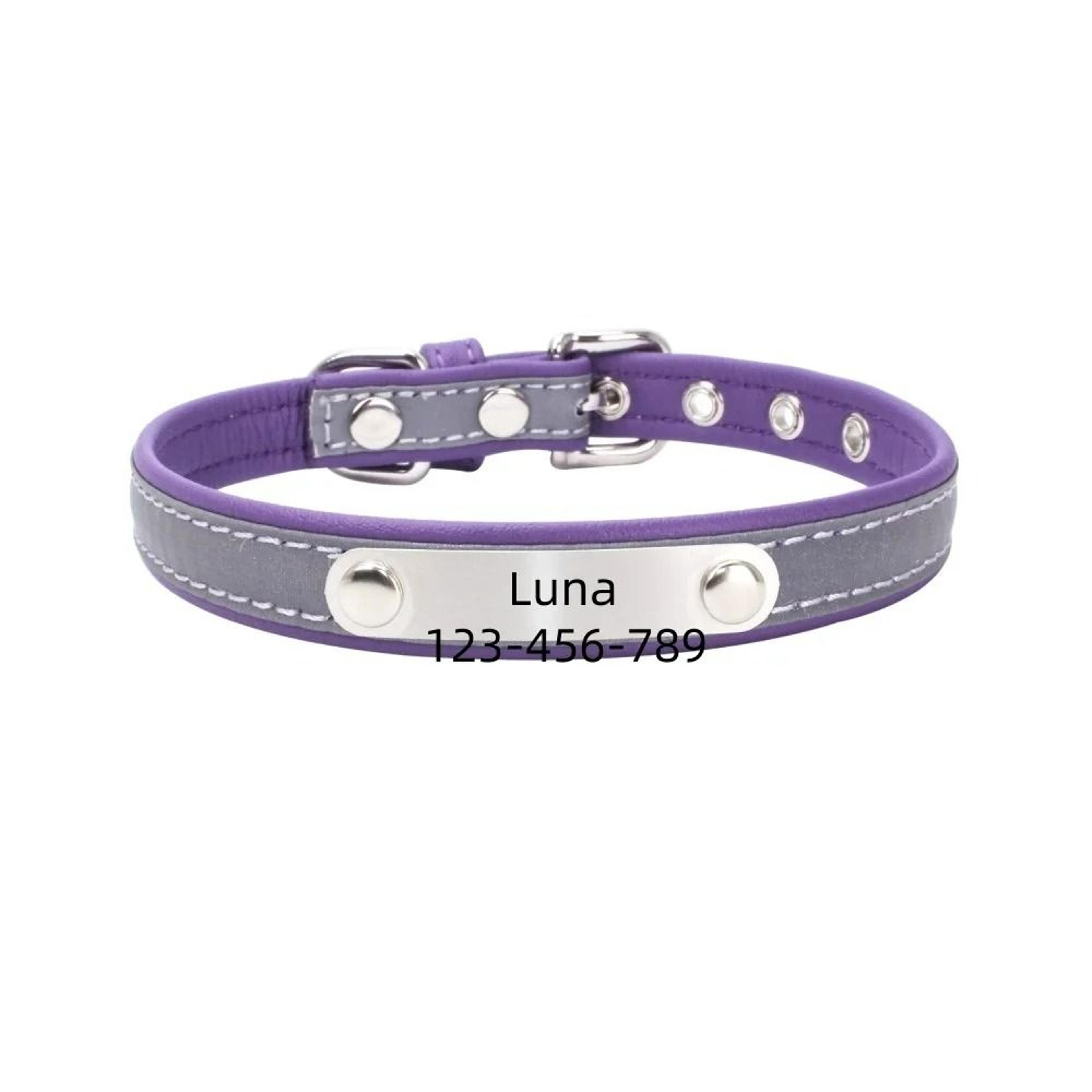 SignatureSeries Custom Engraved Reflective Pet Collar 12