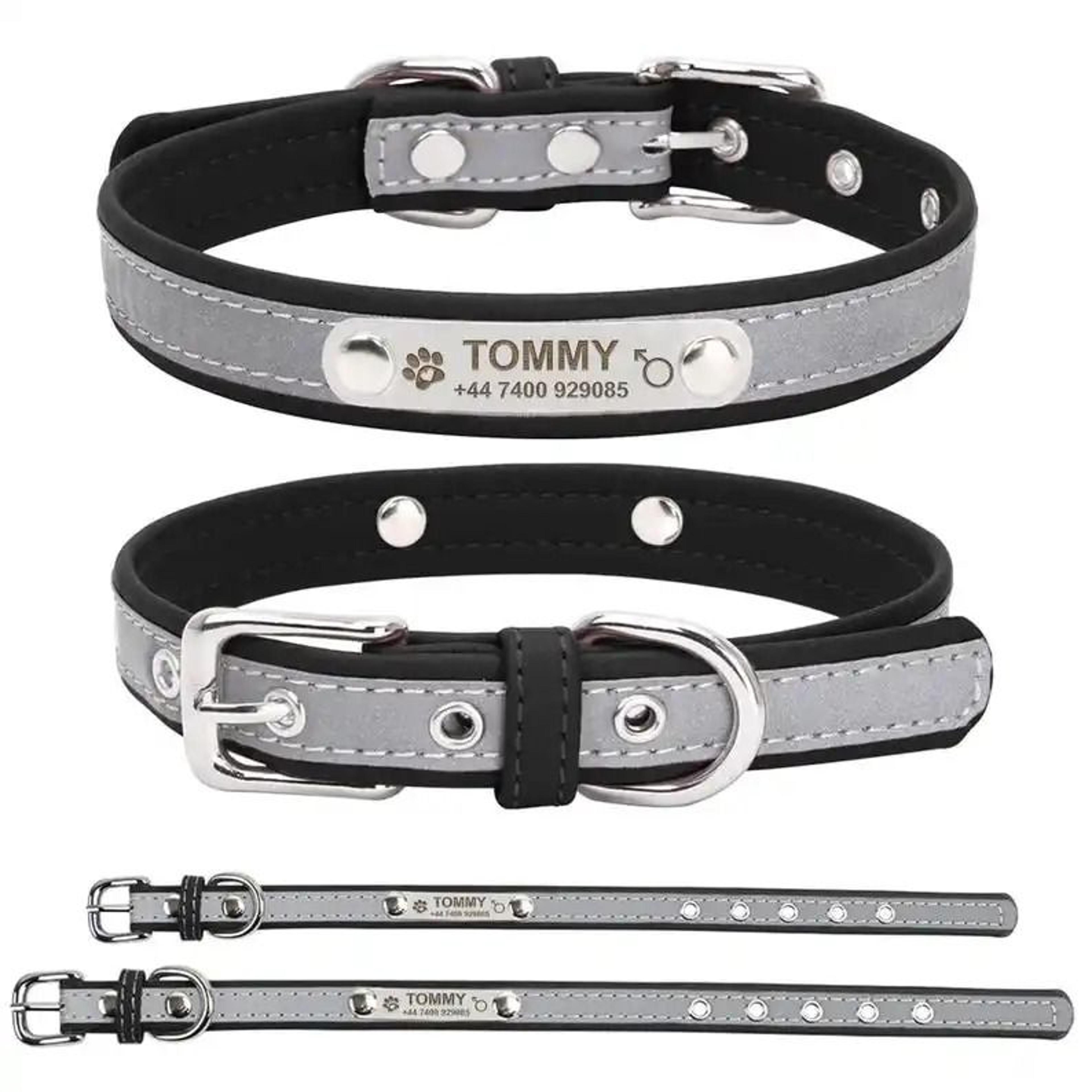 SignatureSeries Custom Engraved Reflective Pet Collar 8