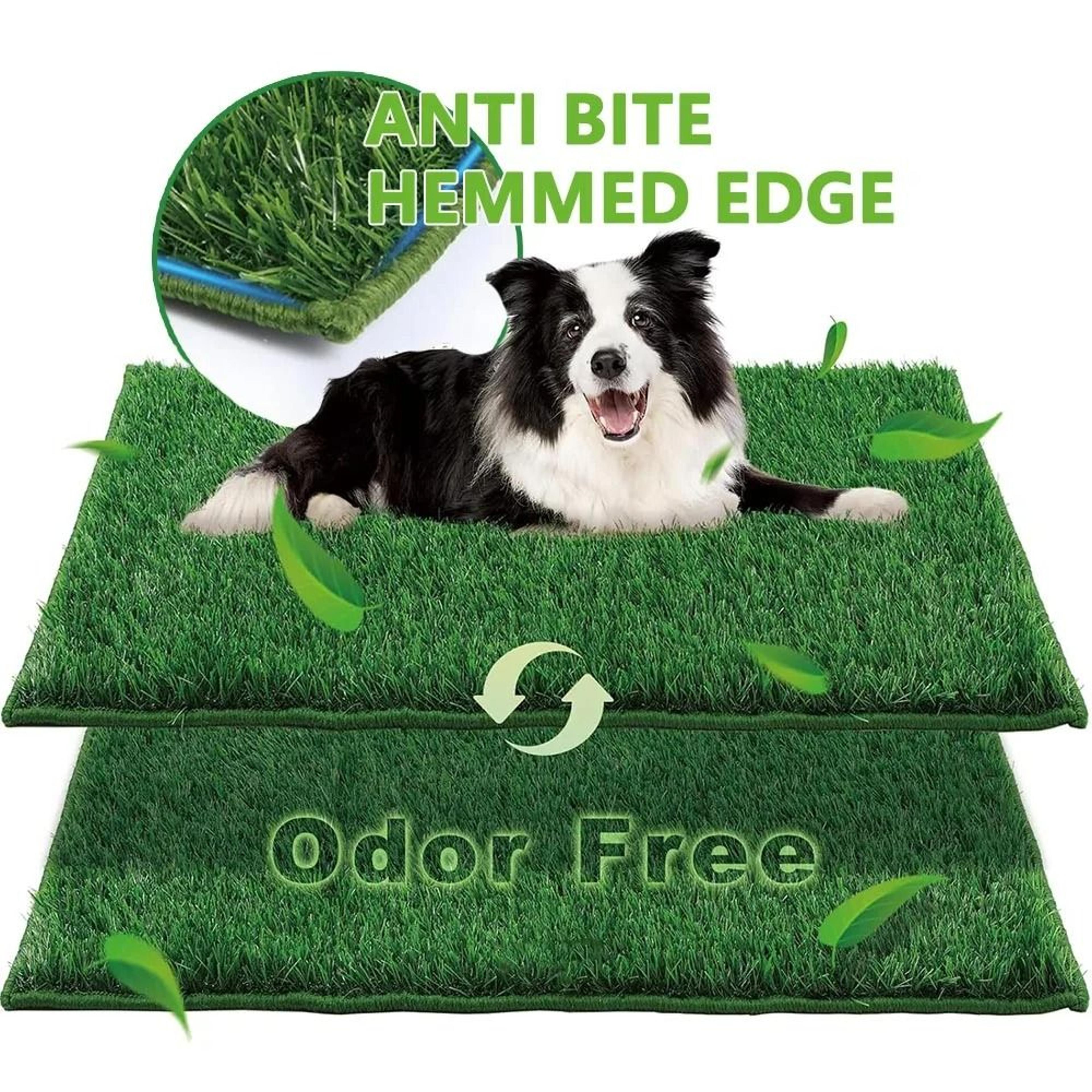 reusable dog lawn training system