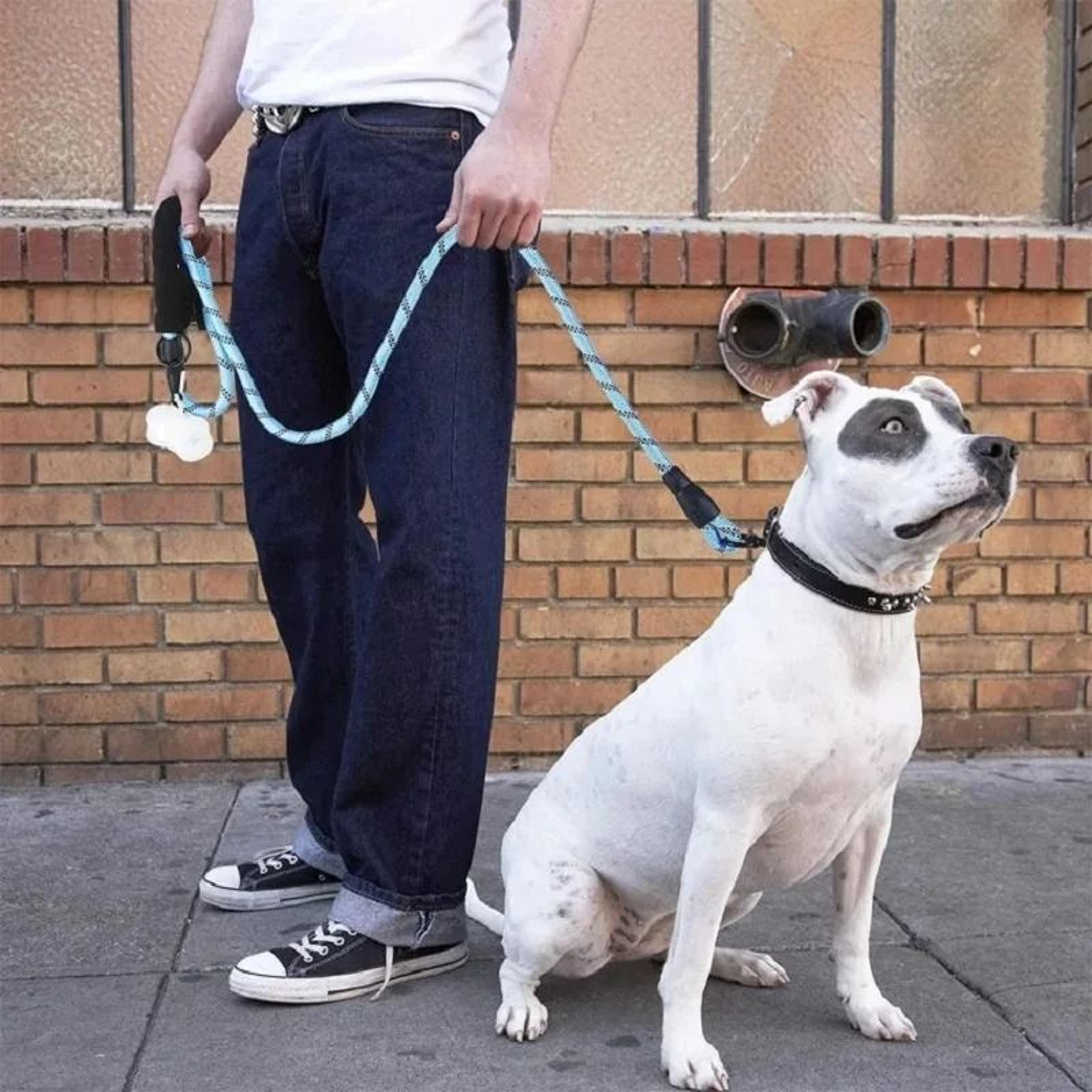 HeavyDuty Reinforced Rope Leash  Soft Padded Handle For Small To Large Dogs 1