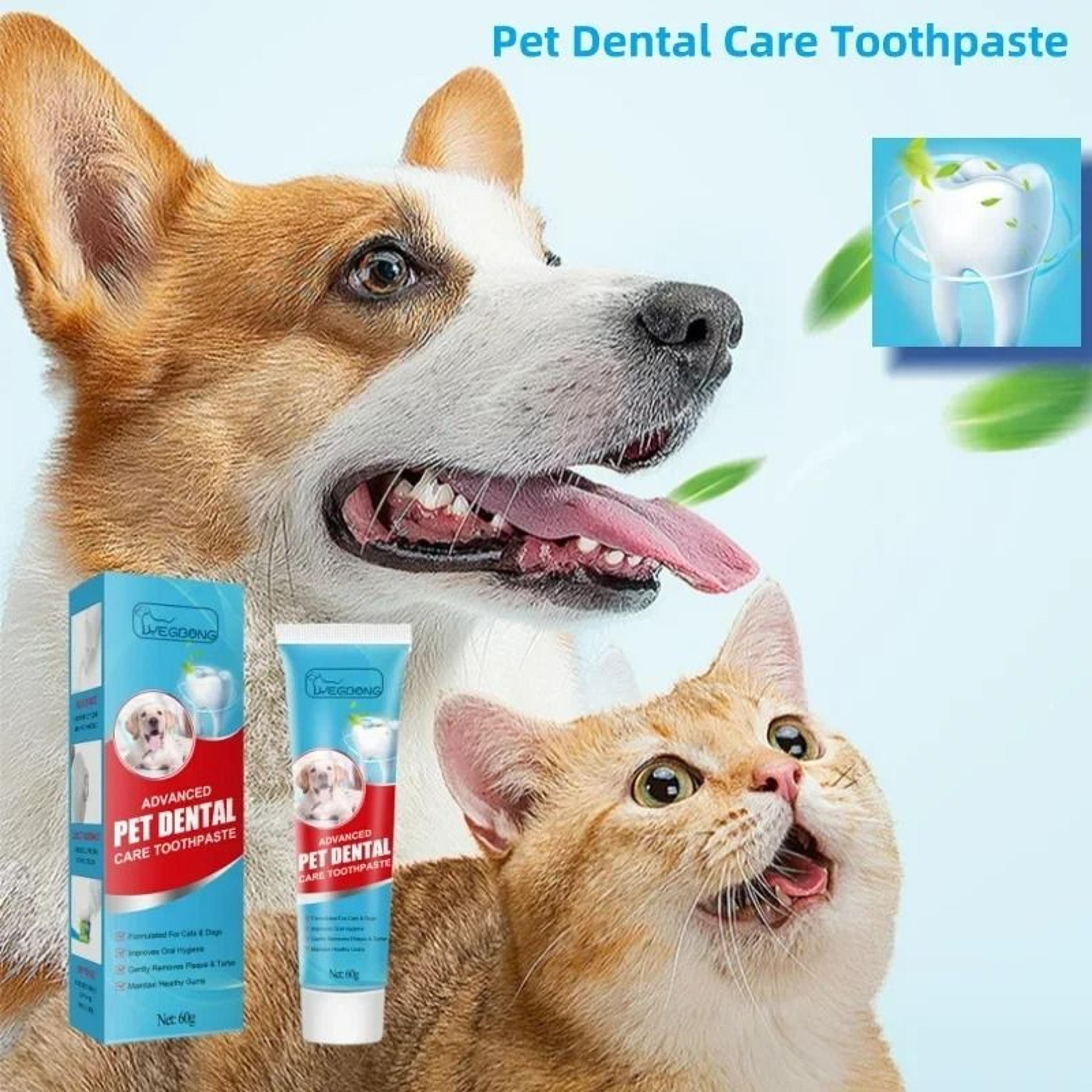 Edible Pet Toothpaste  Advanced Oral Care For Fresh Breath  Plaque Removal 0
