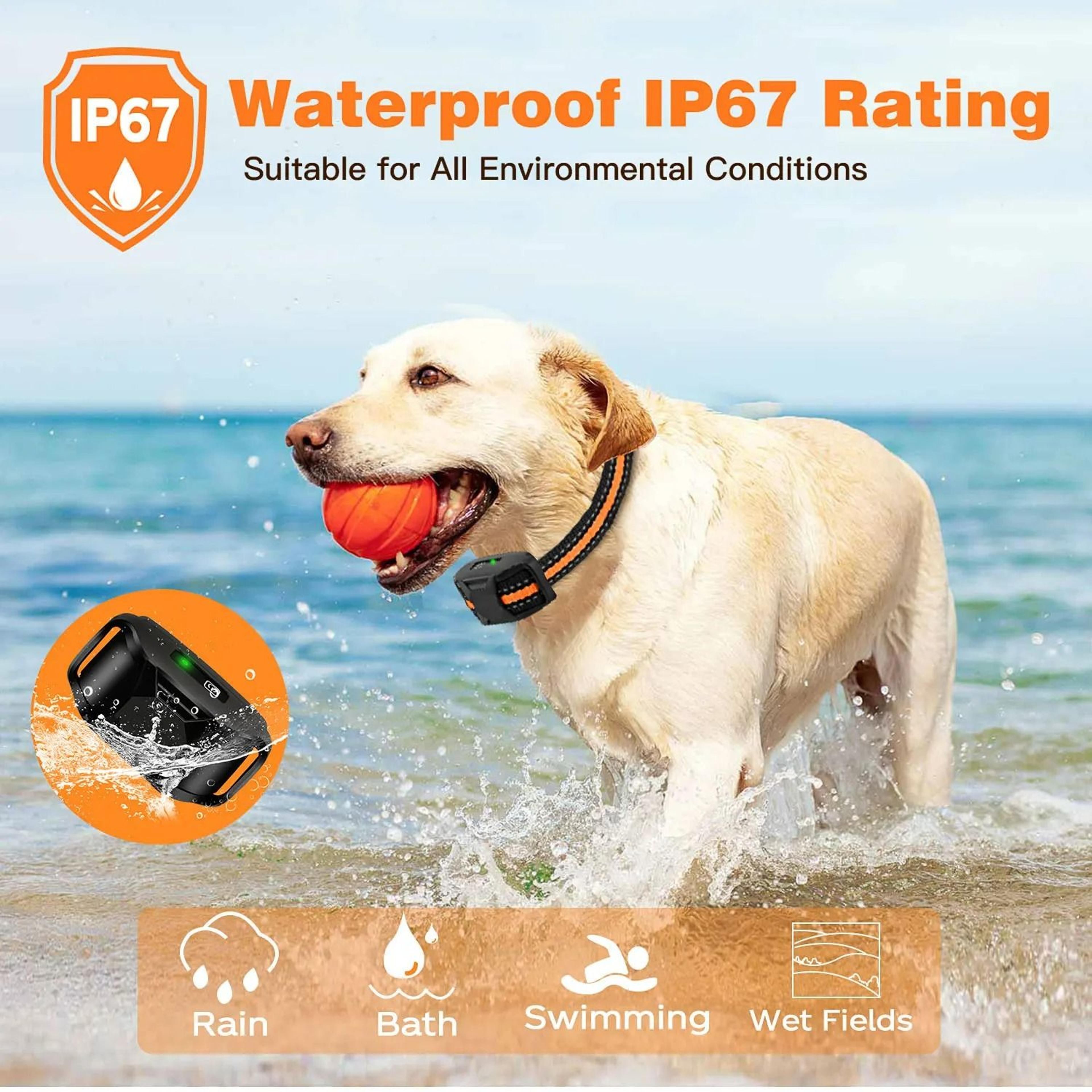 3300ft Professional Remote Dog Training Collar  Waterproof Behavior Correction System 5