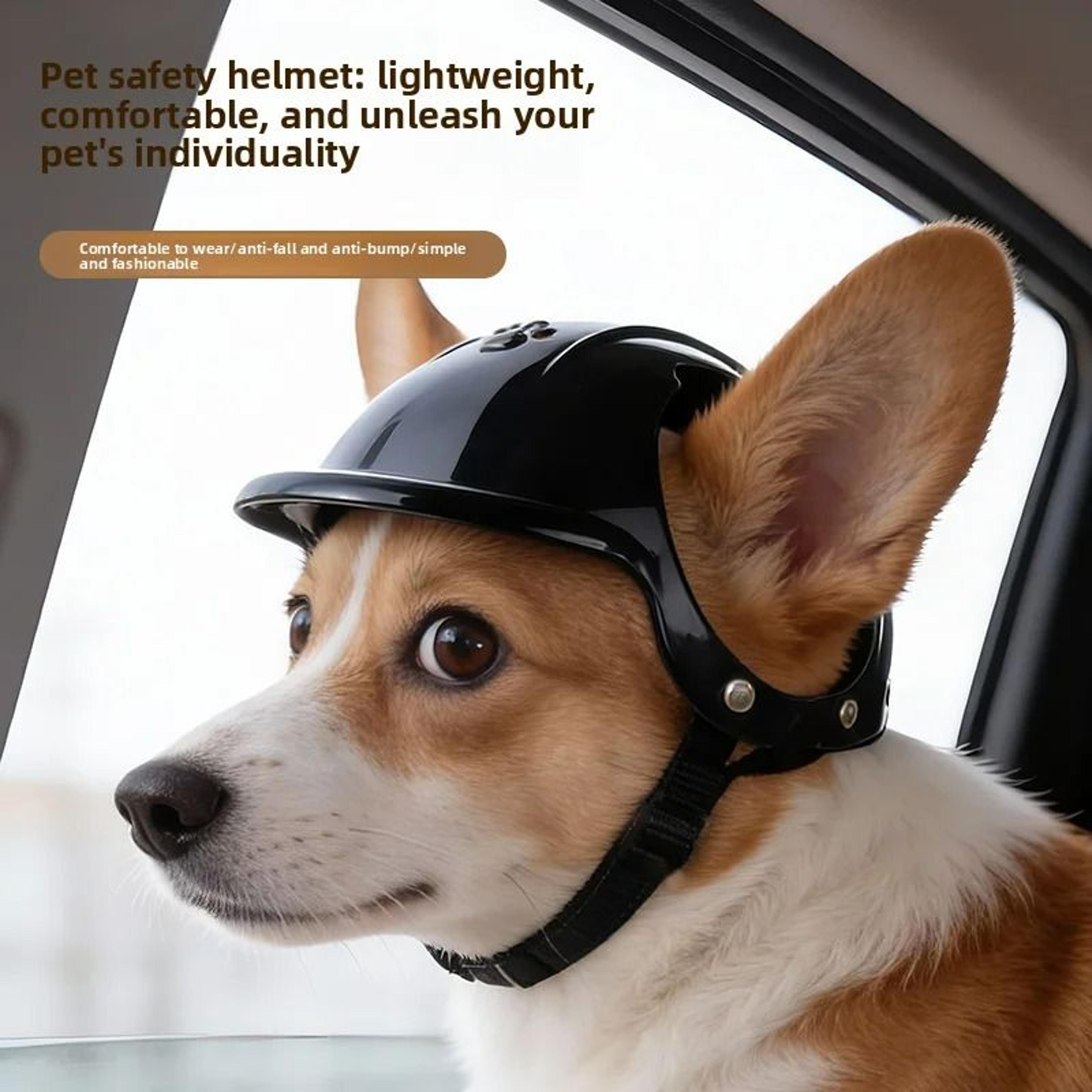 pet safety helmet – impact-resistant motorcycle & outdoor sports headwear