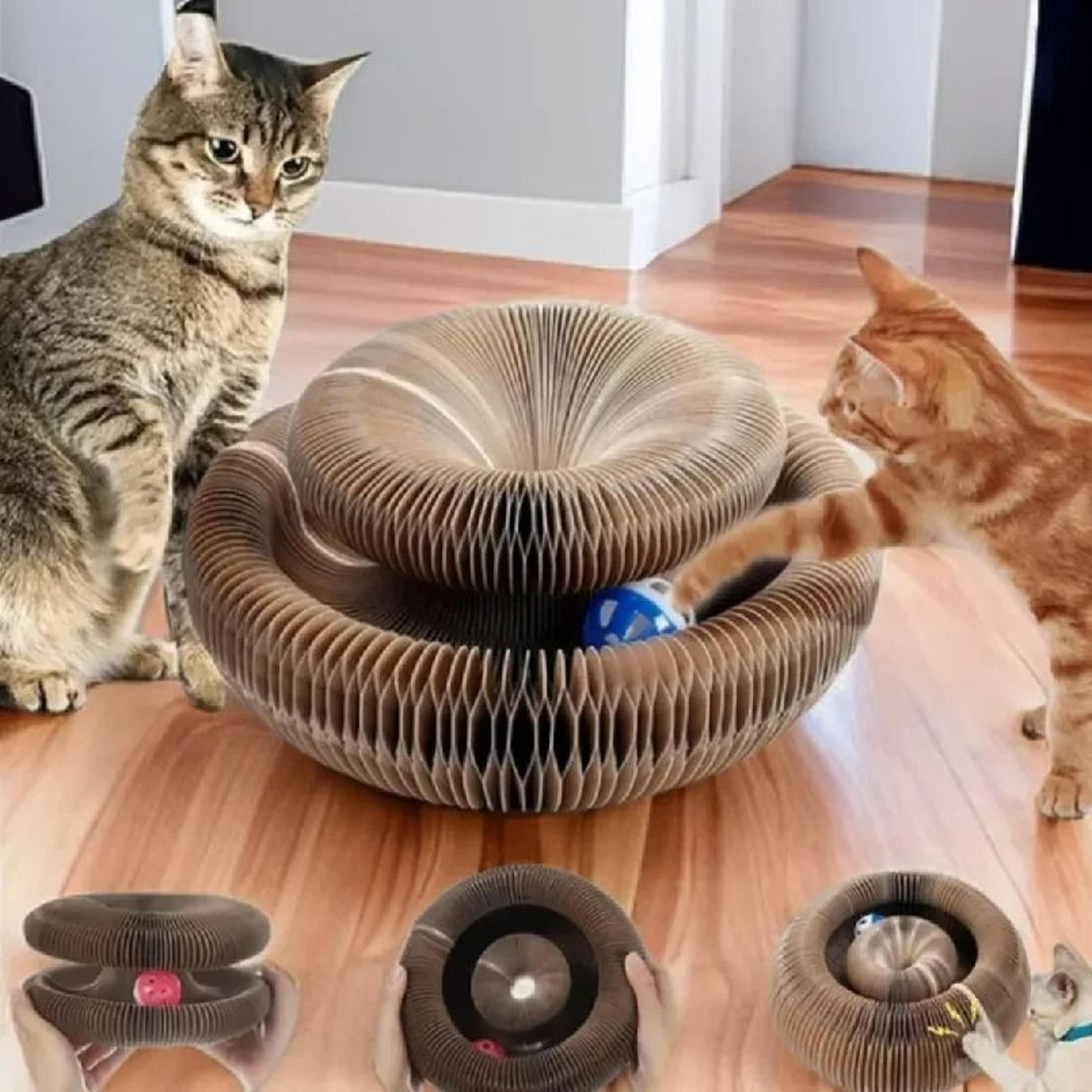 Magic Organ Cat Scratcher  Foldable 2in1 Interactive Toy  Lounge Bed 1