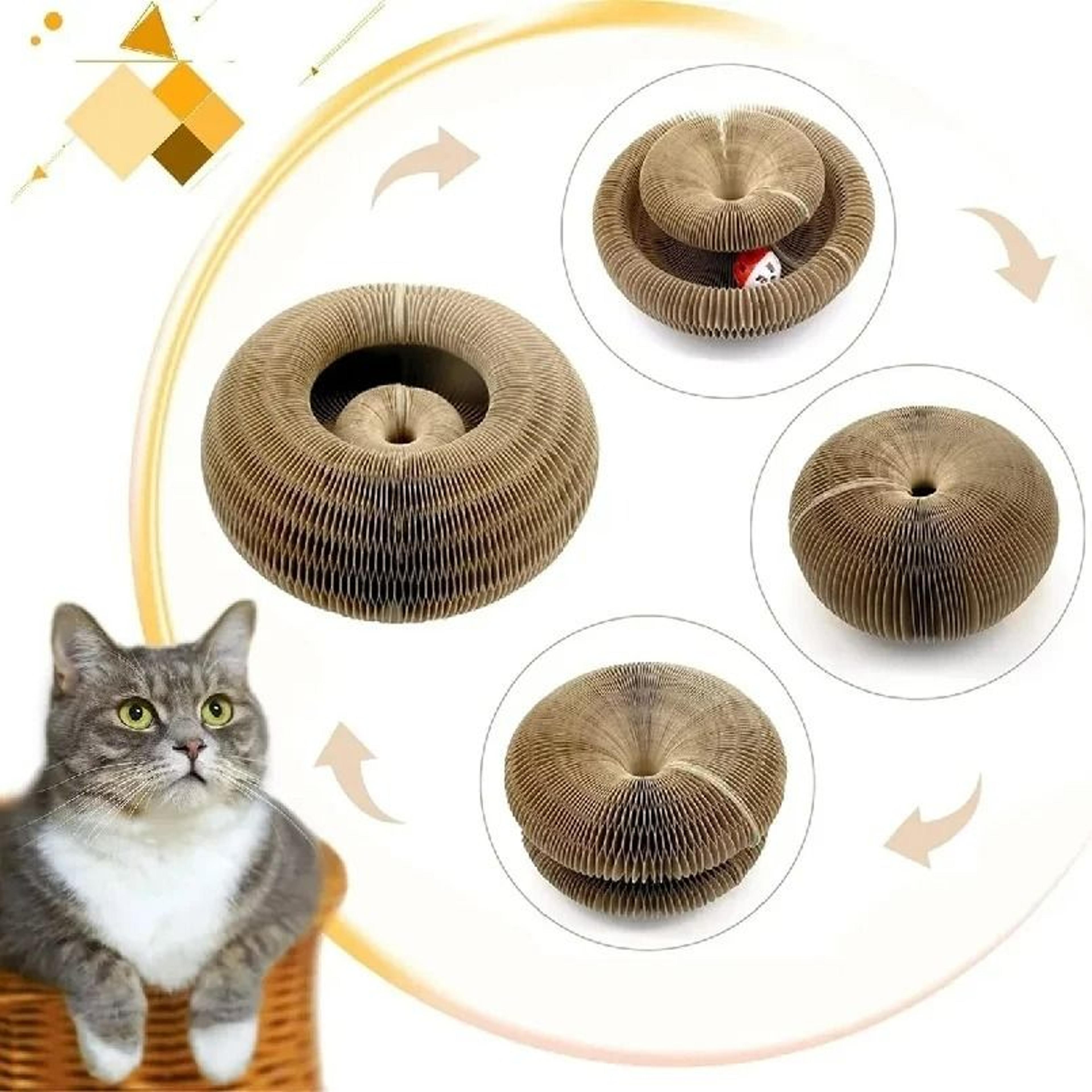 Magic Organ Cat Scratcher  Foldable 2in1 Interactive Toy  Lounge Bed 2