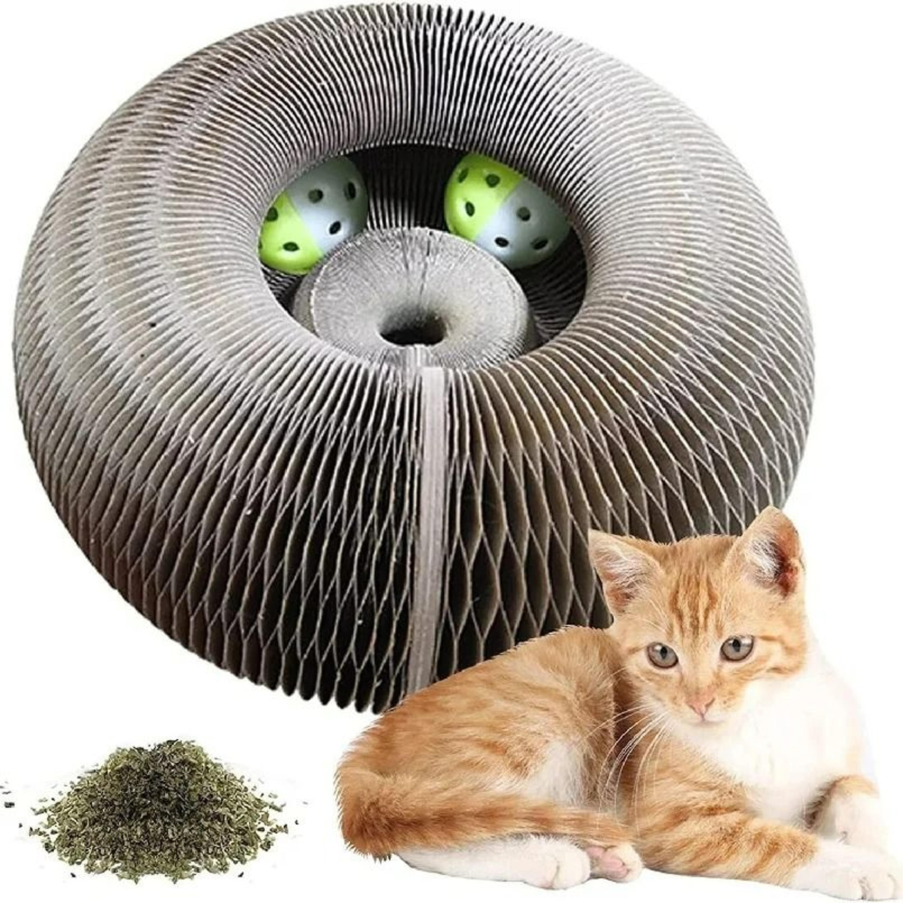Magic Organ Cat Scratcher  Foldable 2in1 Interactive Toy  Lounge Bed 5