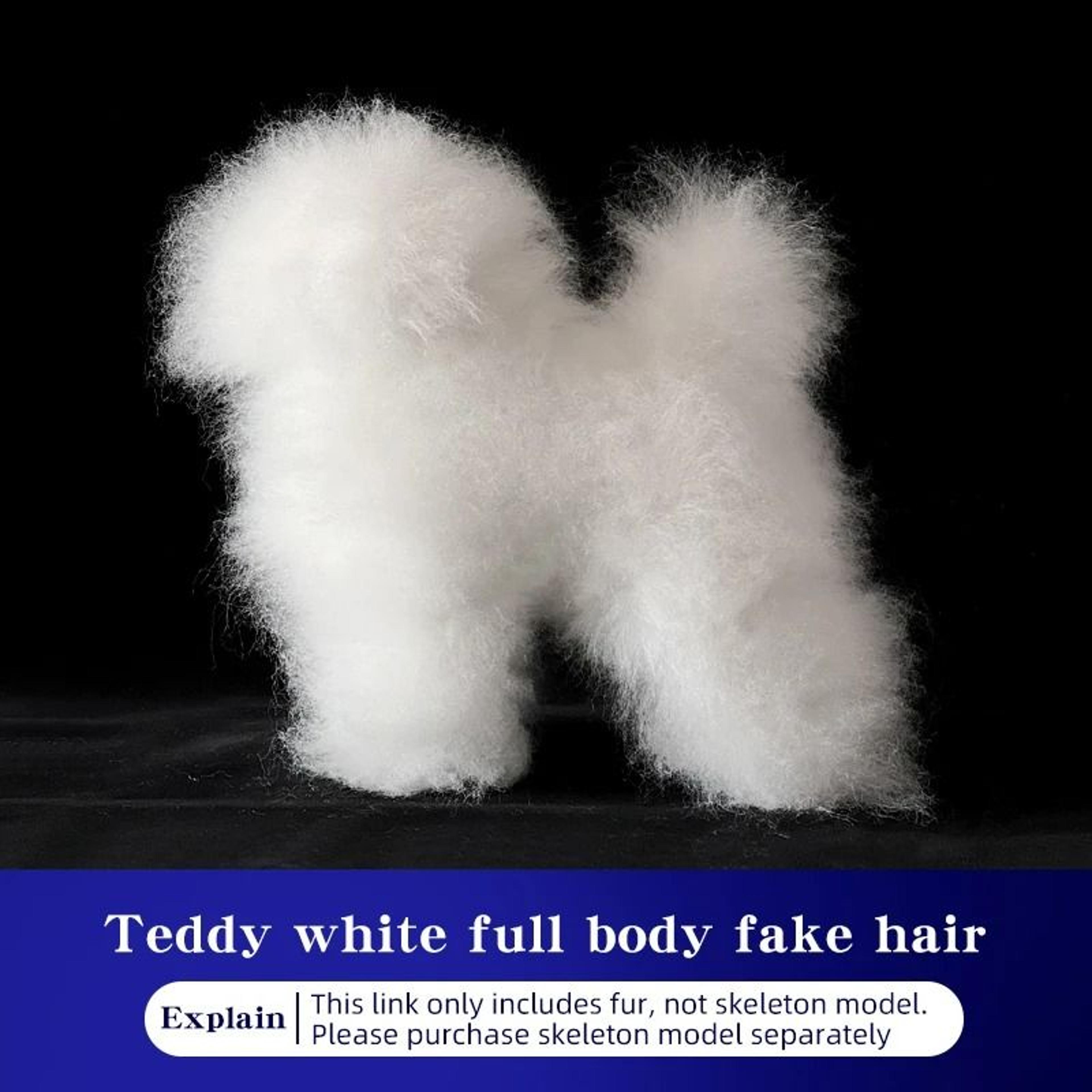 Teddy Grooming Practice Model  HighFidelity Simulation Hair Skeleton  Standard Head For Pet Beautic 10