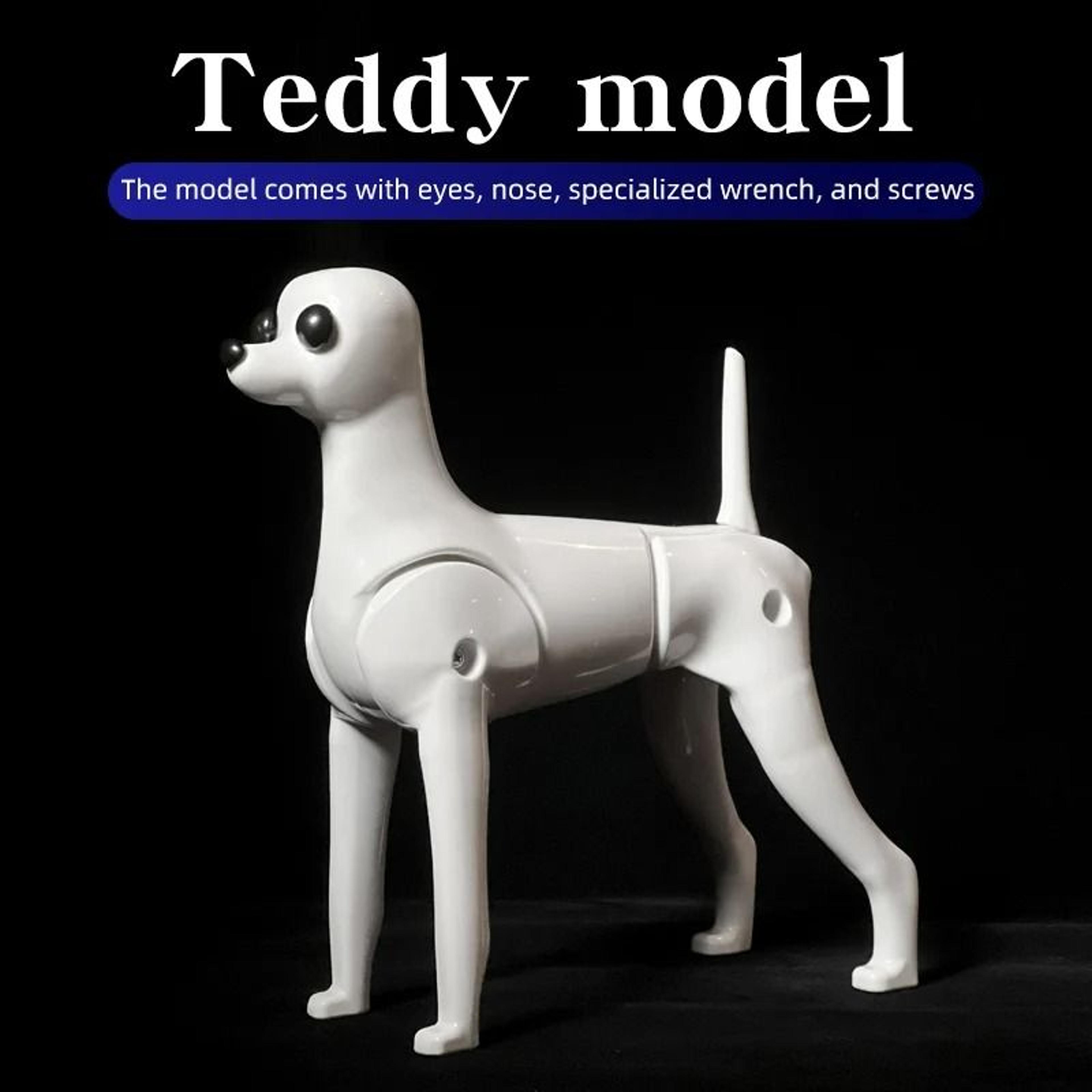 Teddy Grooming Practice Model  HighFidelity Simulation Hair Skeleton  Standard Head For Pet Beautic 6
