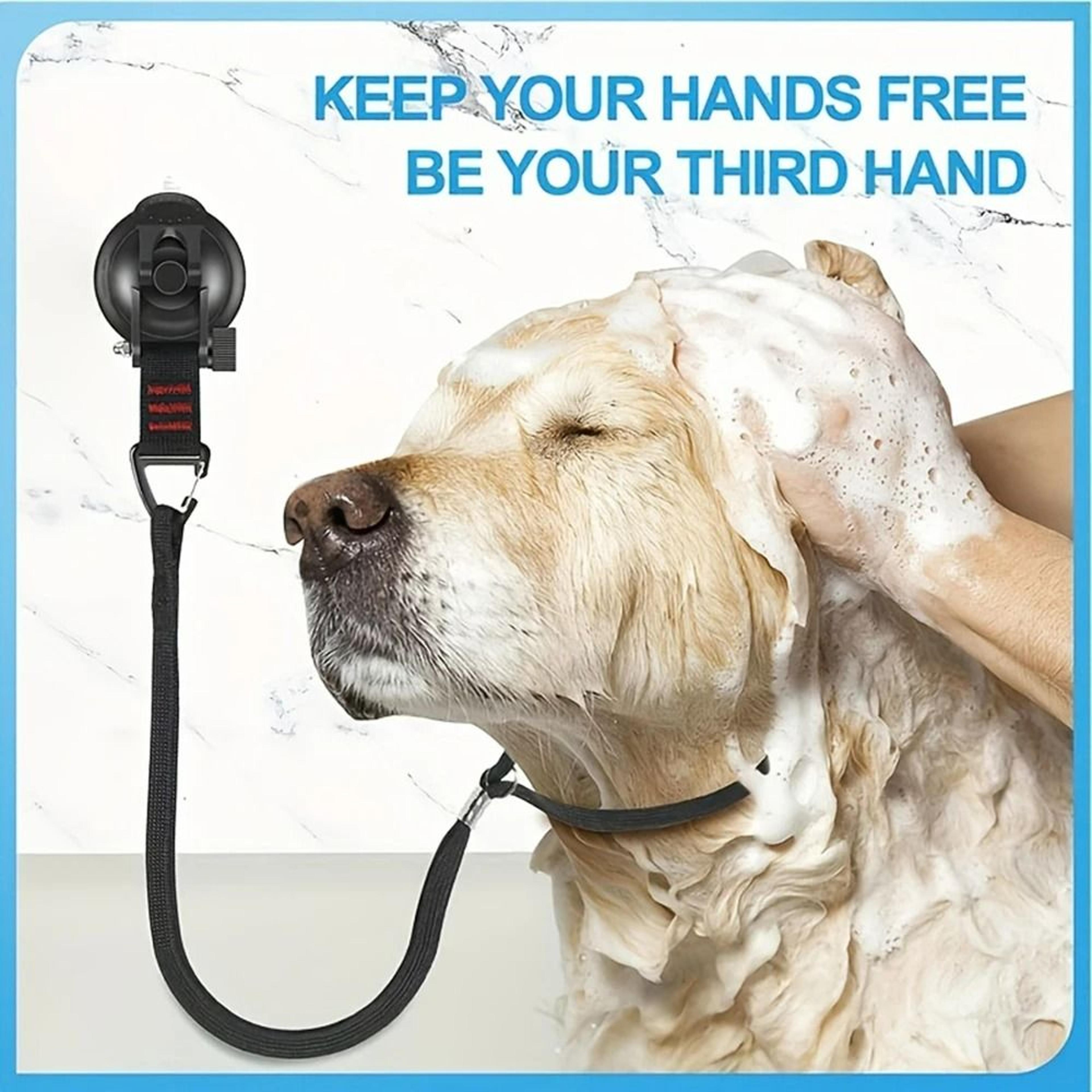 Pet Grooming  Bathing Restraint System  IndustrialStrength Suction Cup  HeavyDuty Leash For StressF 0