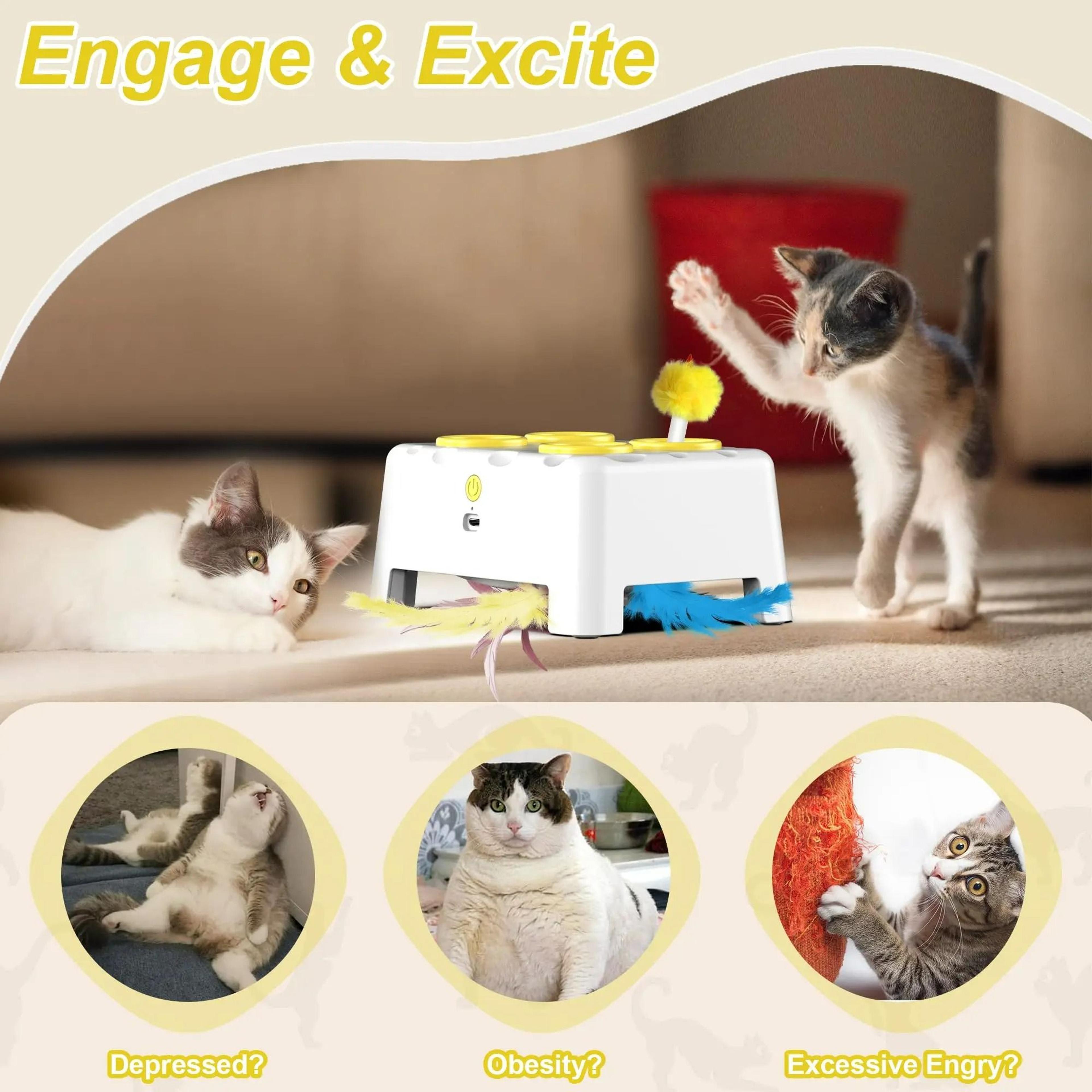 Interactive WhackAMole Automatic PopUp Cat Toy 1