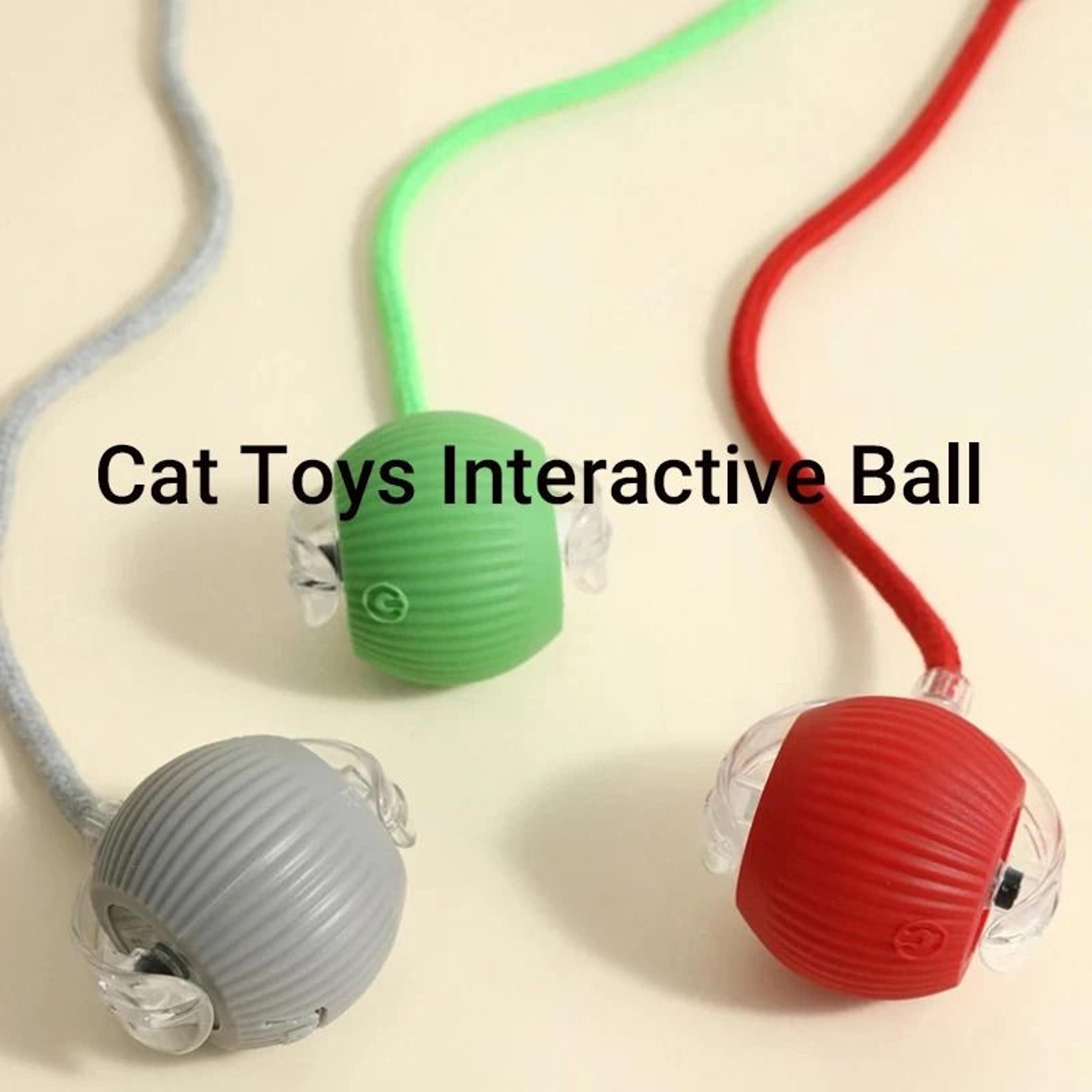 Intelligent SelfRolling Rechargeable Cat Ball 3