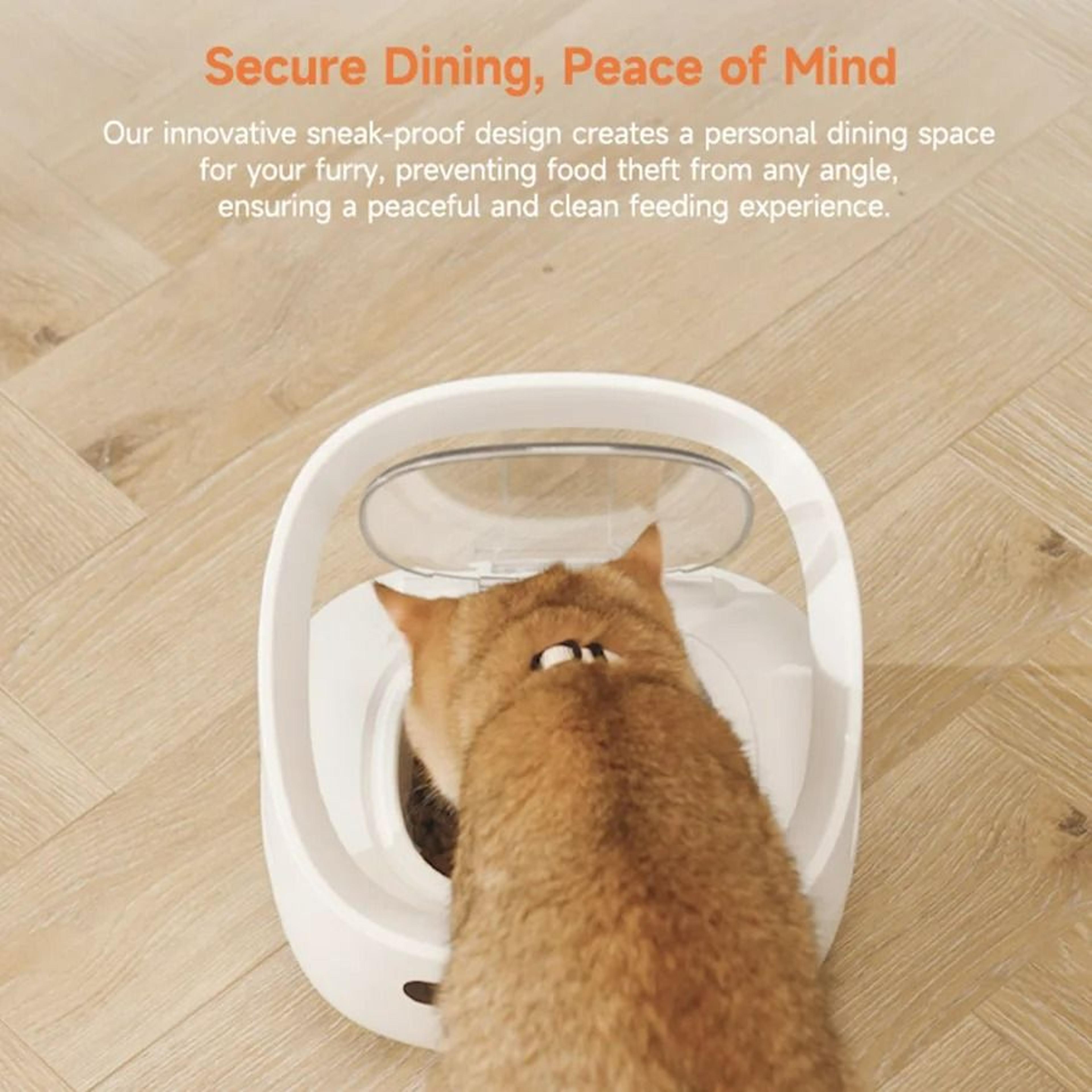 Intelligent MultiPet Feeder With App Control 2