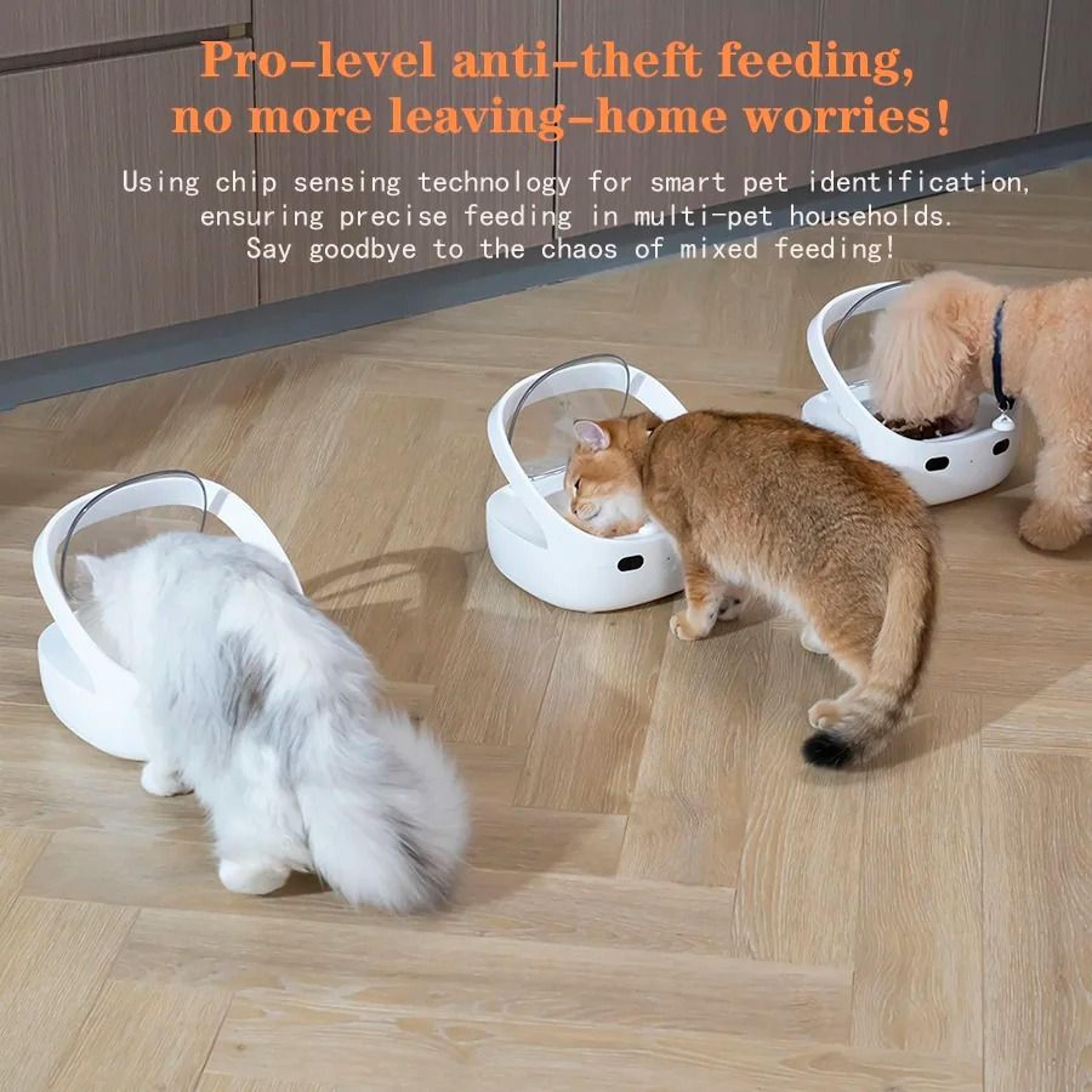 Intelligent MultiPet Feeder With App Control 3