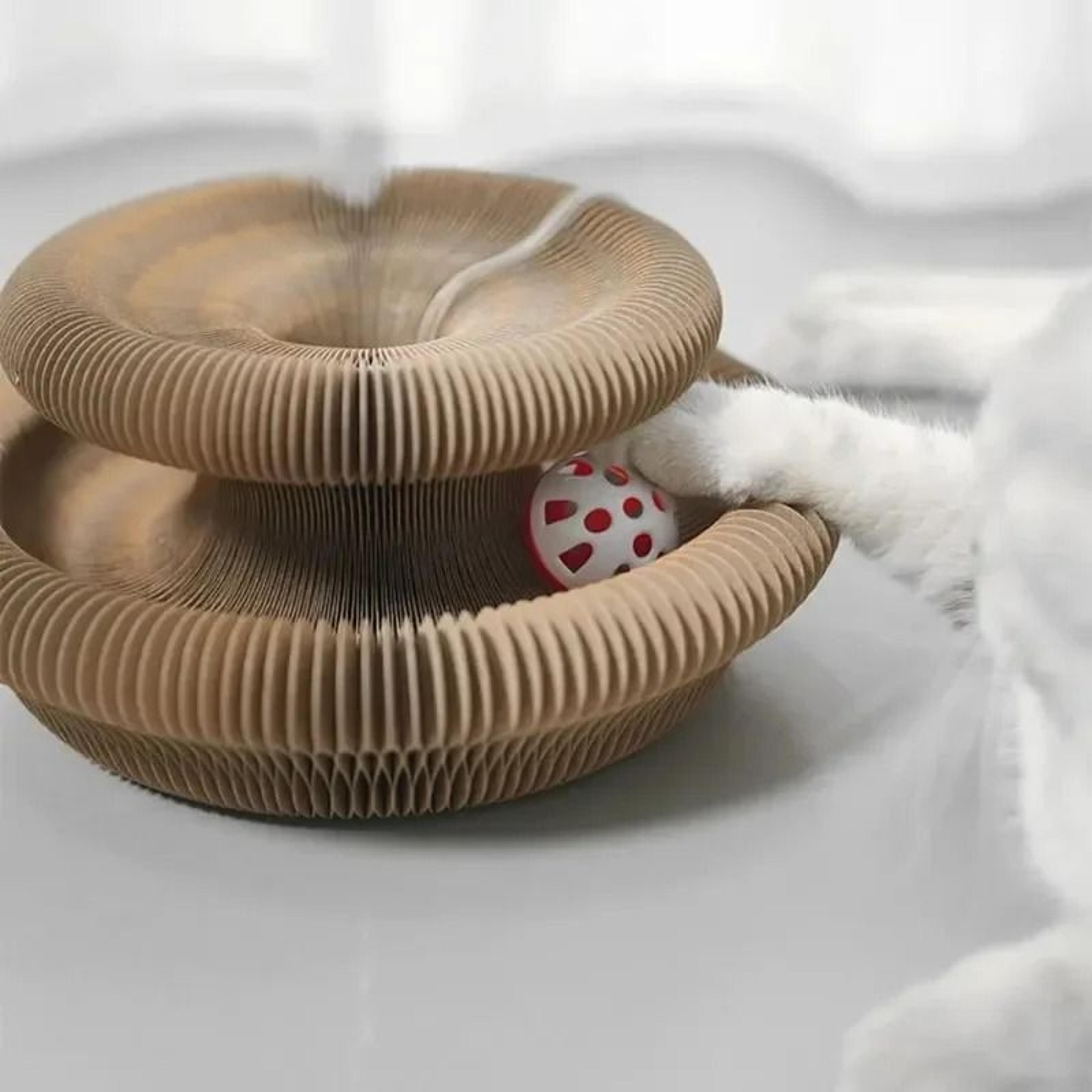 magic organ accordion cat scratcher & toy